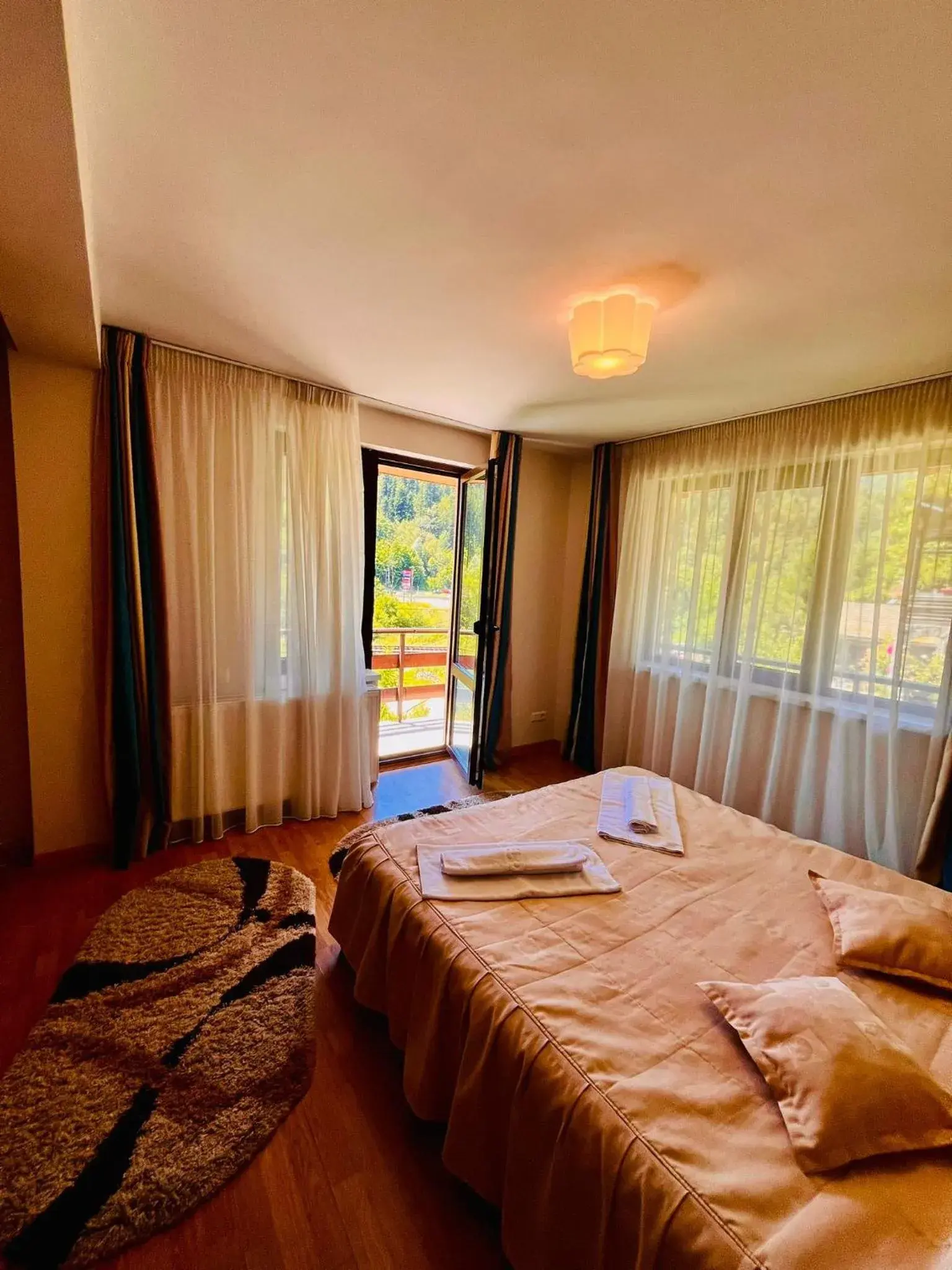 Double Room with Mountain View - single occupancy in Pensiunea Roua - Mountain View Double Room with Mountain View - single occupancy in Pensiunea Roua - Mountain View