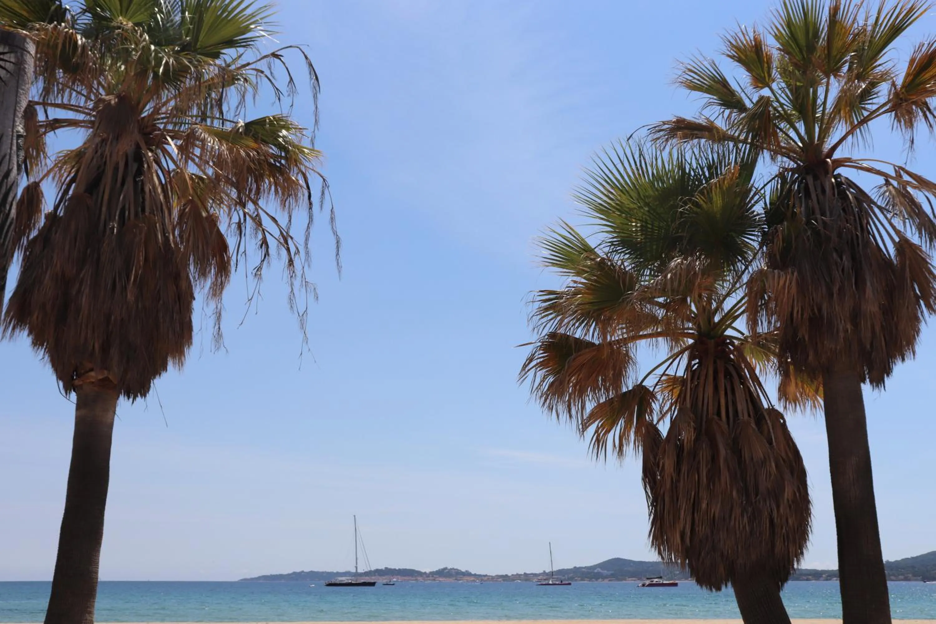 Staff in Mobil Homes Vacances