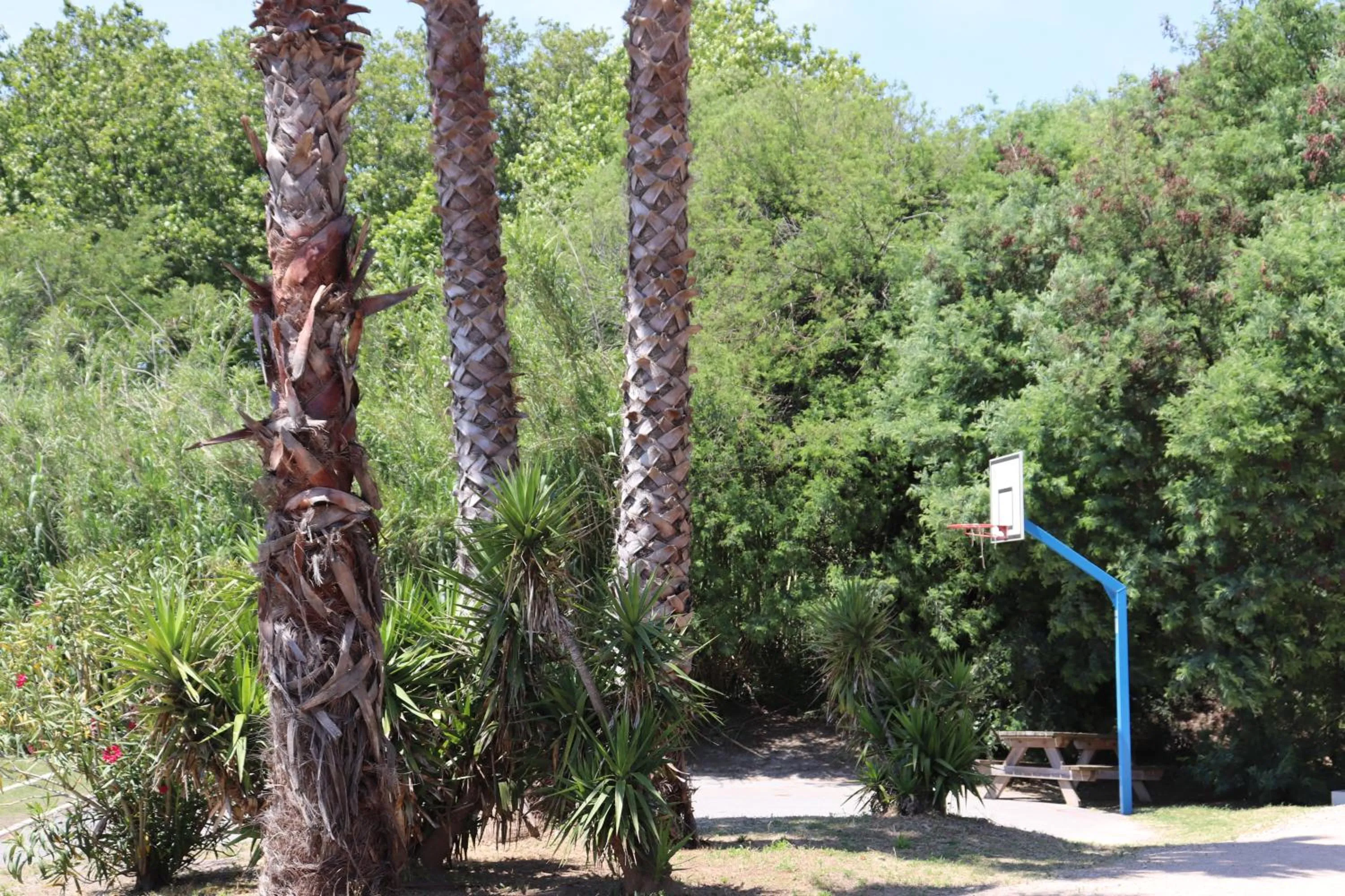 Staff in Mobil Homes Vacances