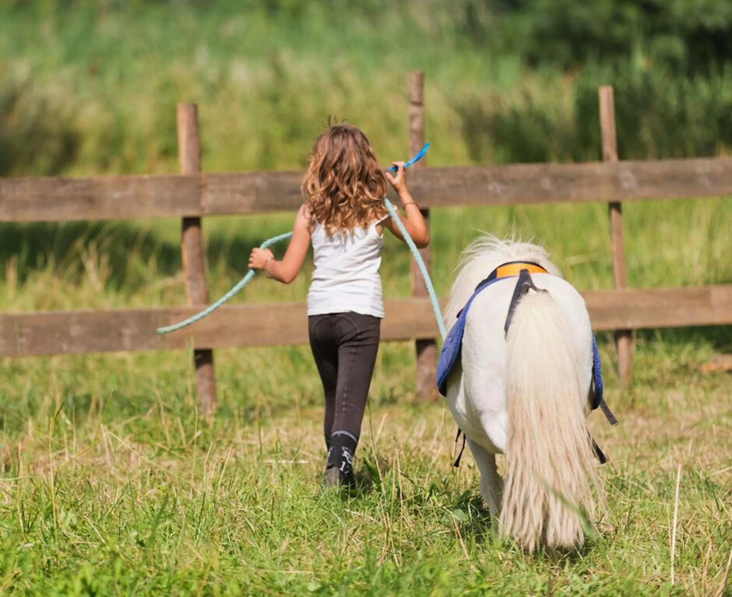 Day in Mobil Homes Vacances