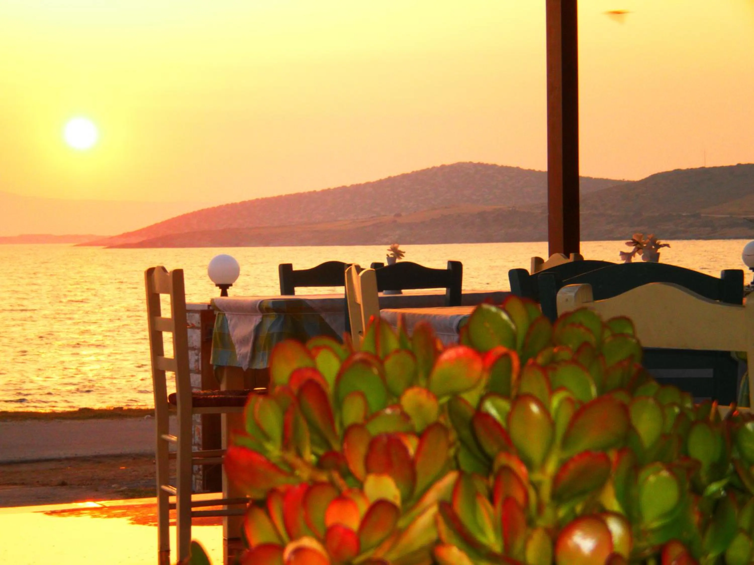 Restaurant/places to eat in Avgerinos Village