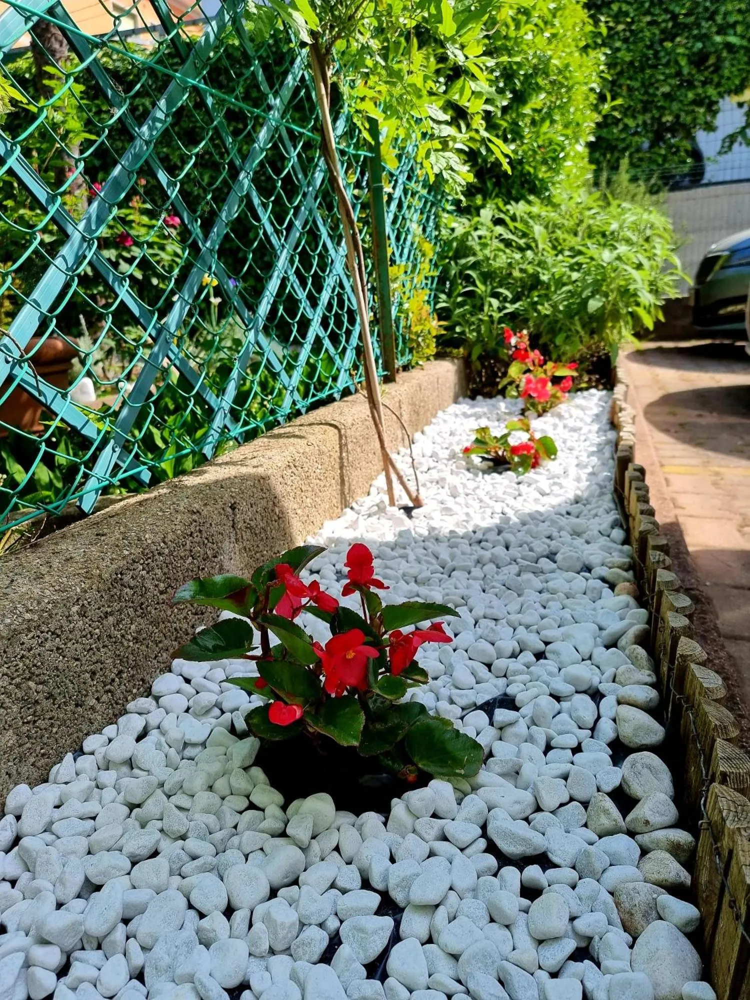 Hotel Orchidea