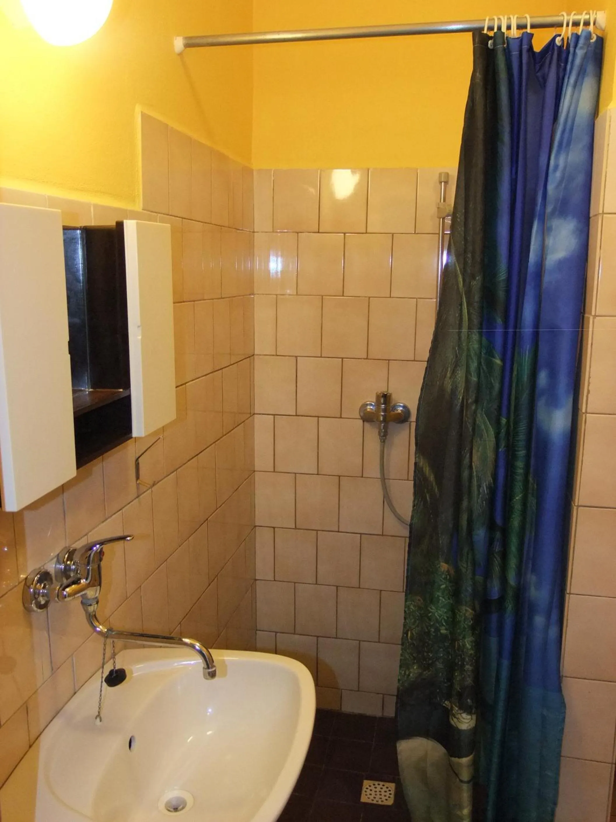 Shower in Hotel Formule