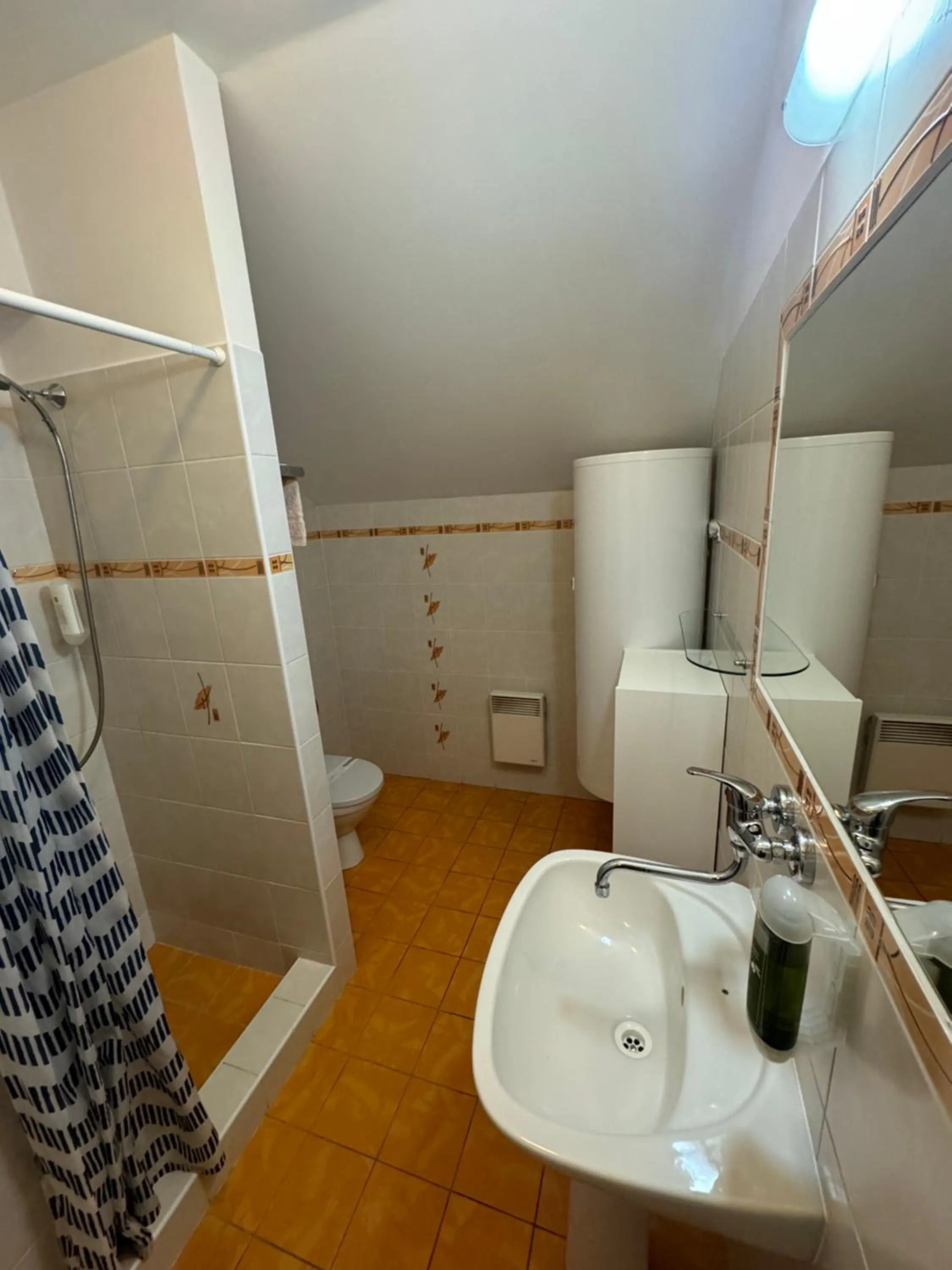 Shower in Hotel Formule