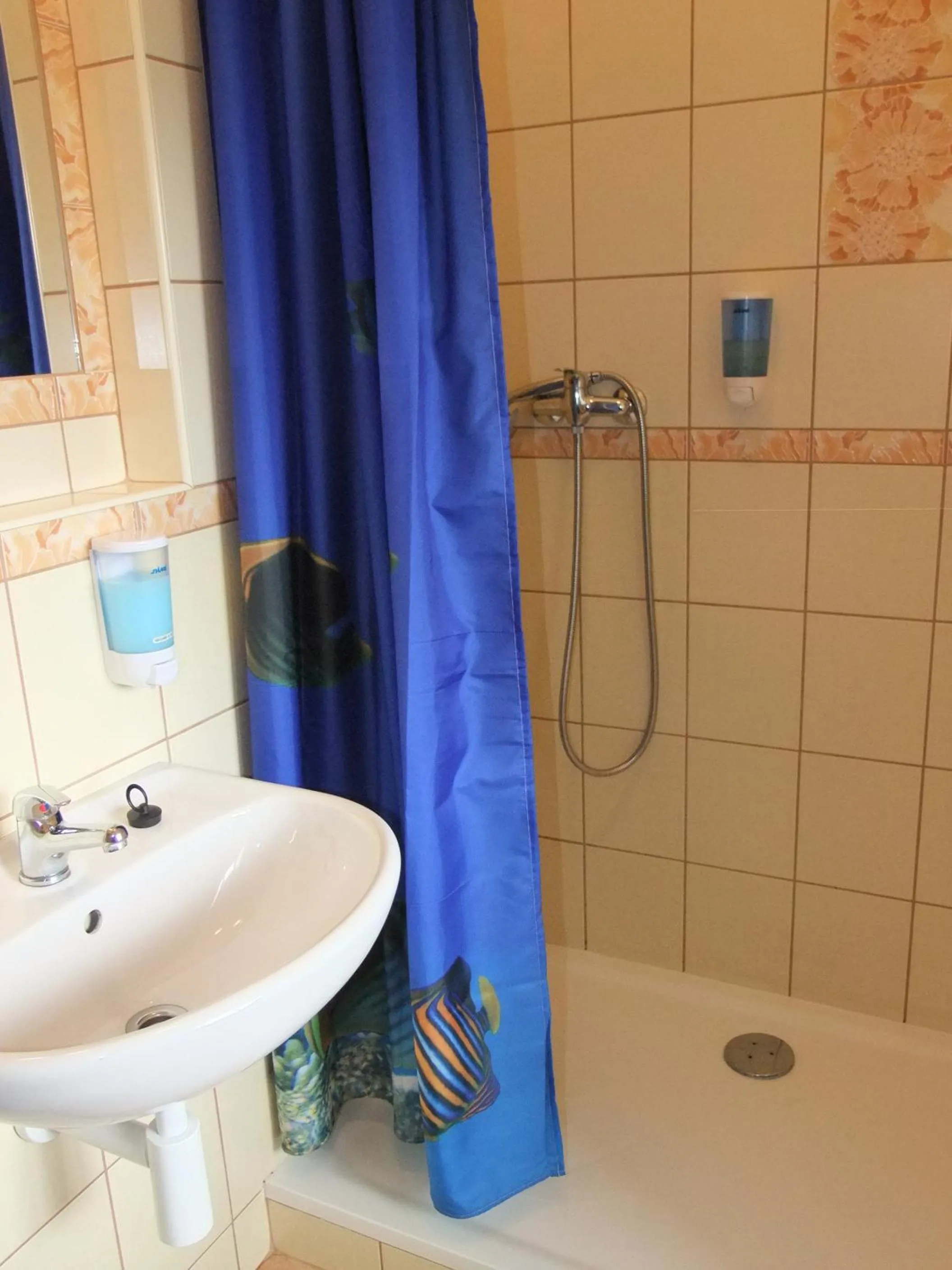 Shower in Hotel Formule