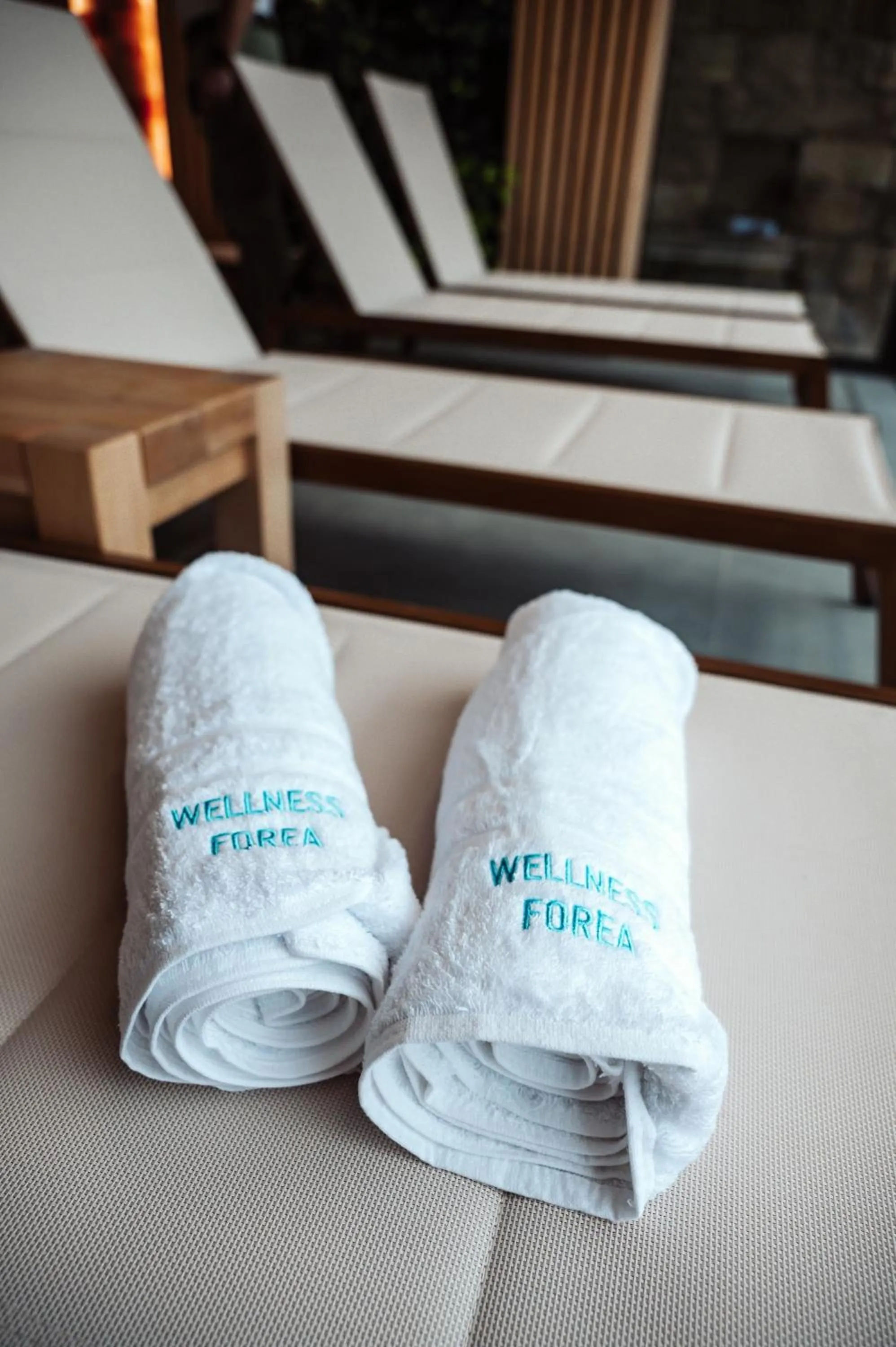 Spa and wellness centre/facilities in Hotel Forea