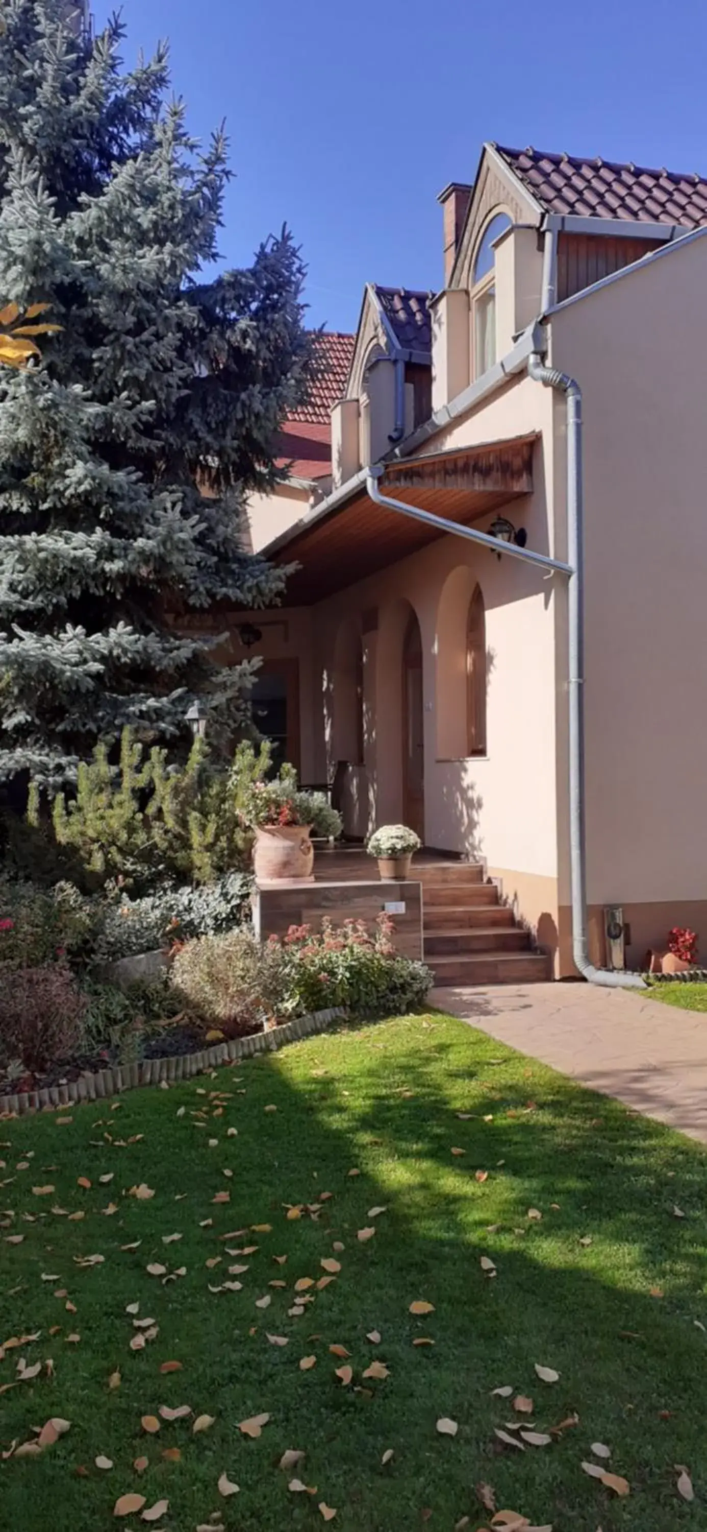 Kenguru Panzió és Csárda Kenguru Panzió és Csárda