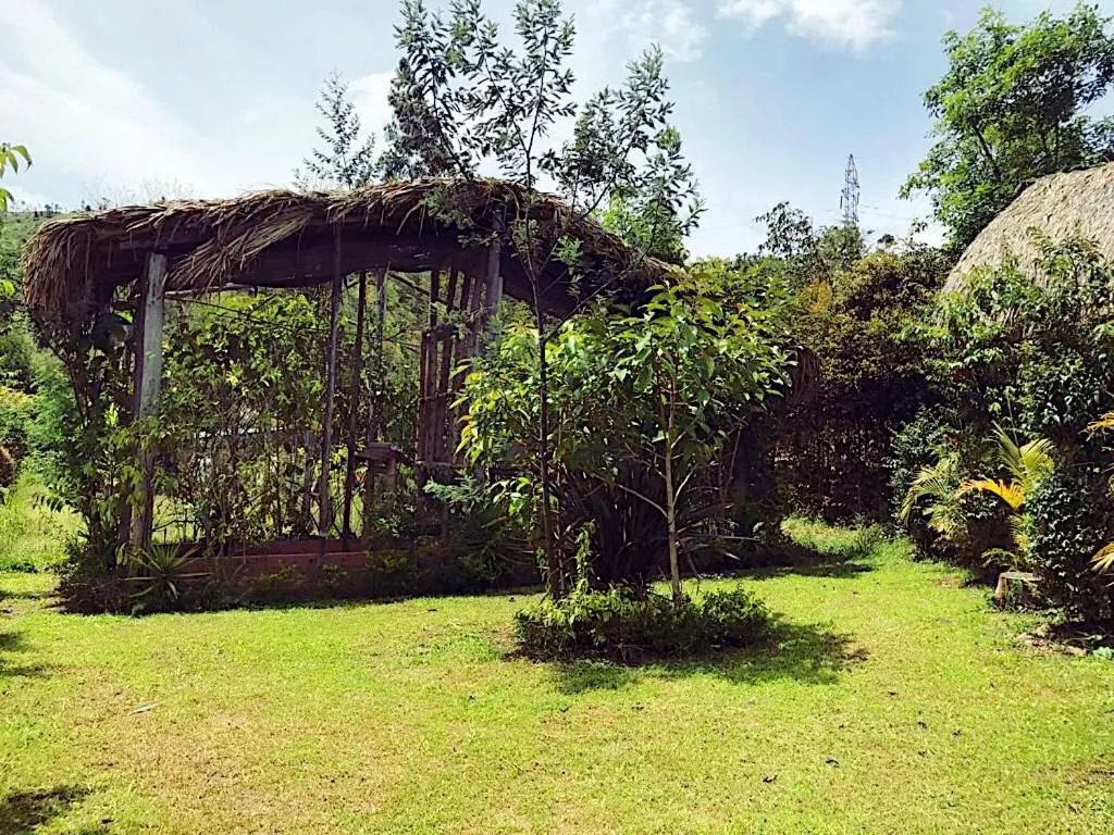 Natural landscape in Hotel Campestre mirador CaloPala