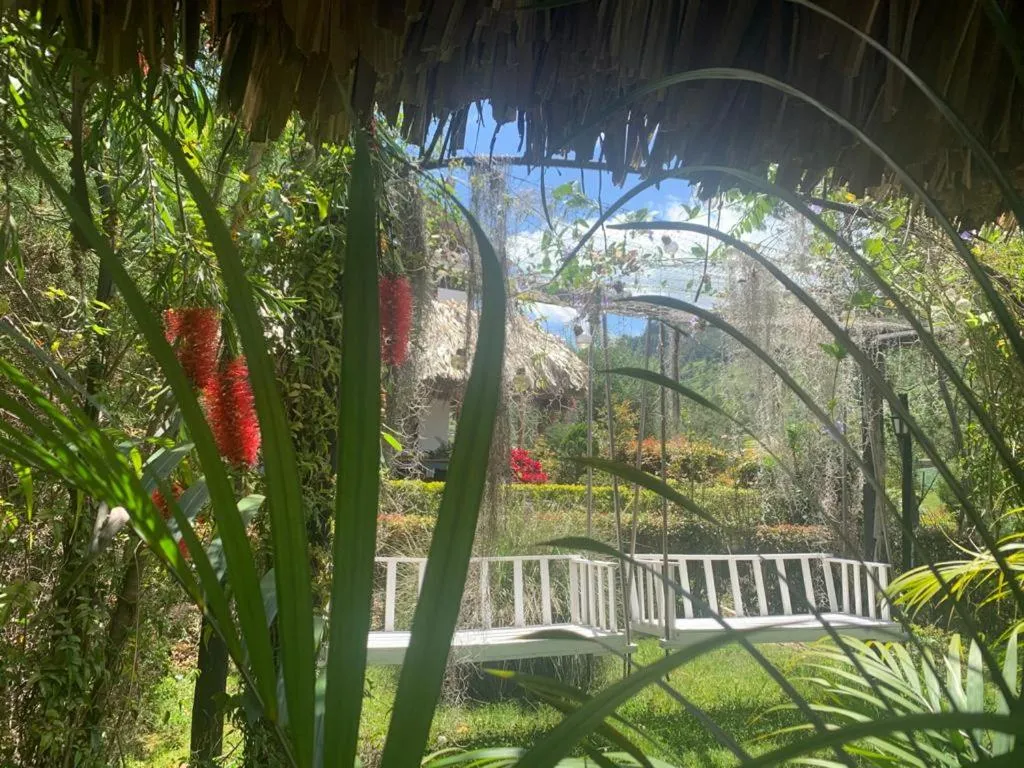 Natural landscape in Hotel Campestre mirador CaloPala