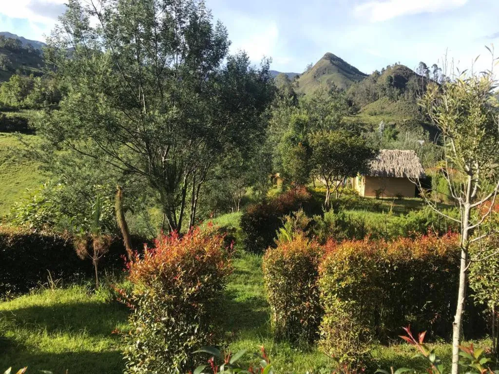 Spring in Hotel Campestre mirador CaloPala