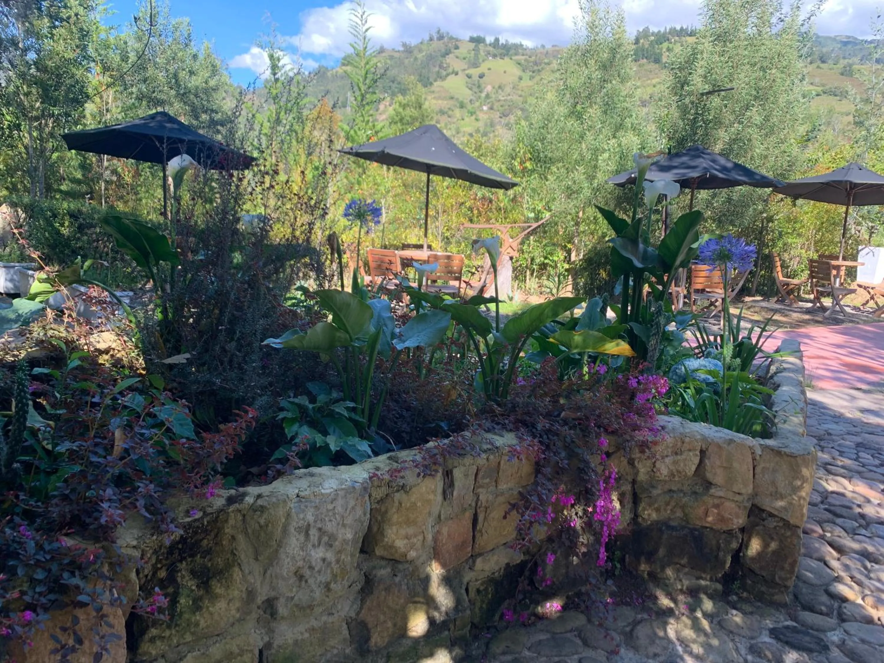 Property building in Hotel Campestre mirador CaloPala