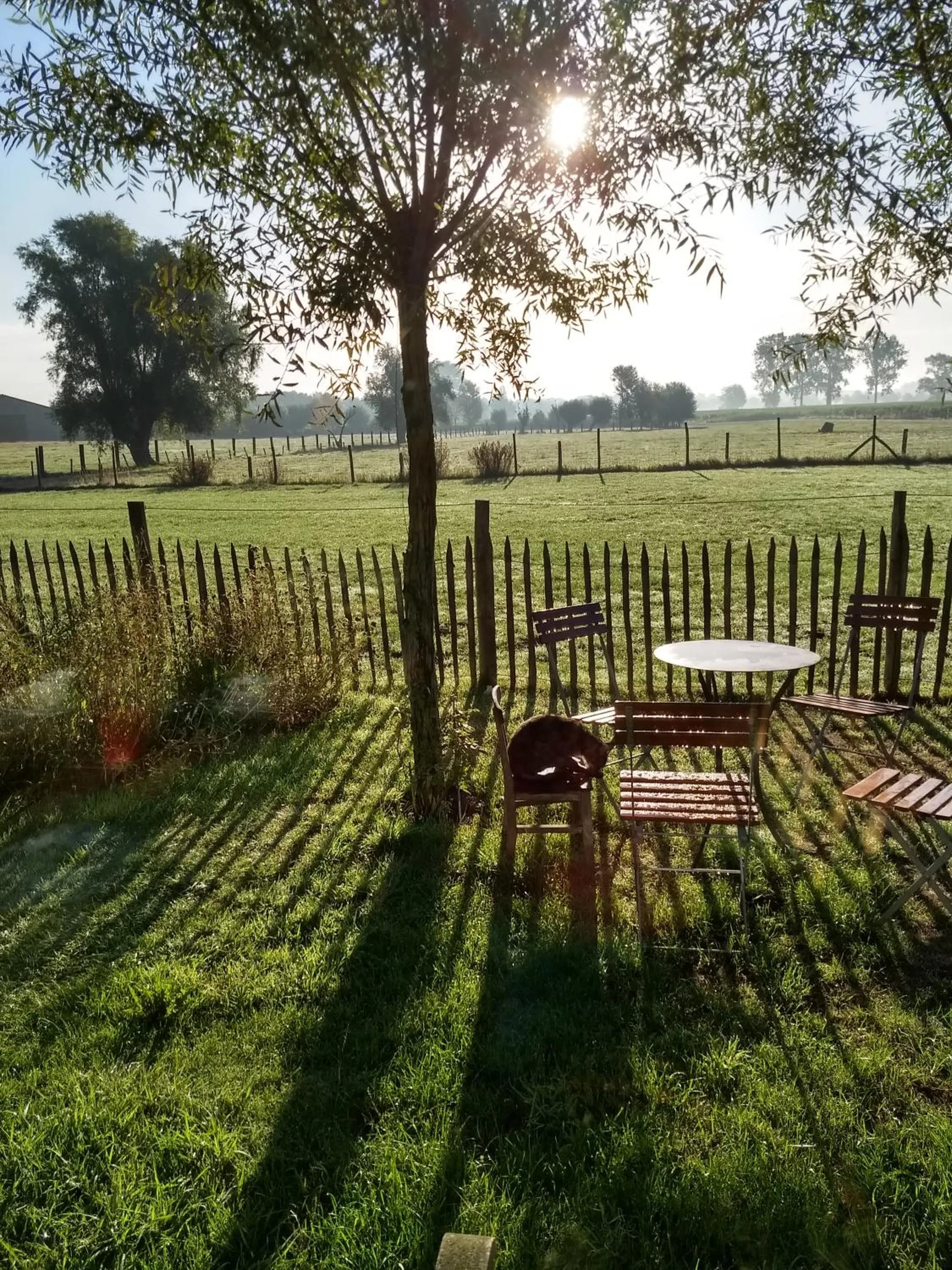 Balcony/Terrace in B&B De Vossenbarm