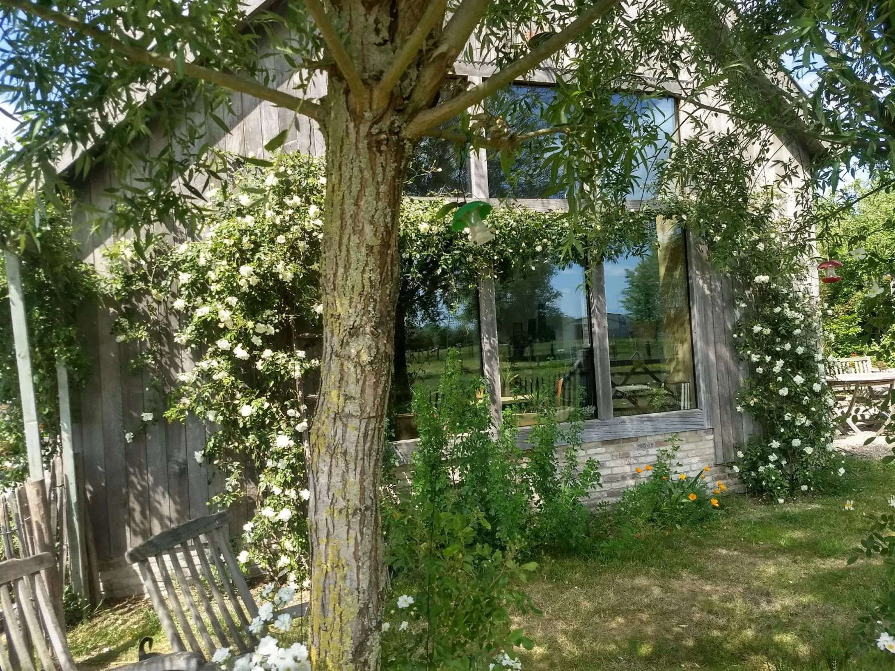 Balcony/Terrace in B&B De Vossenbarm
