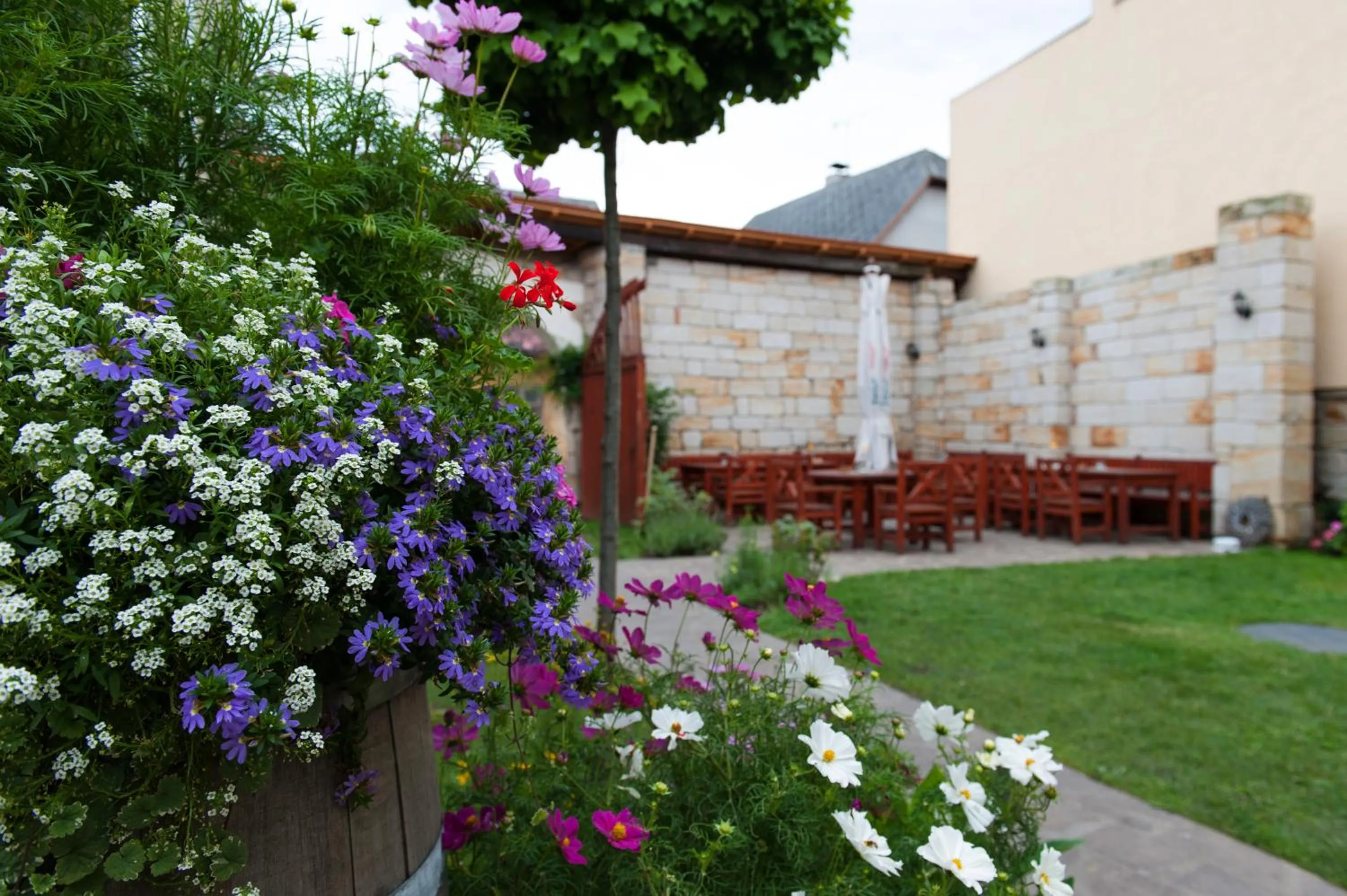 Garden in Hotel Pošta
