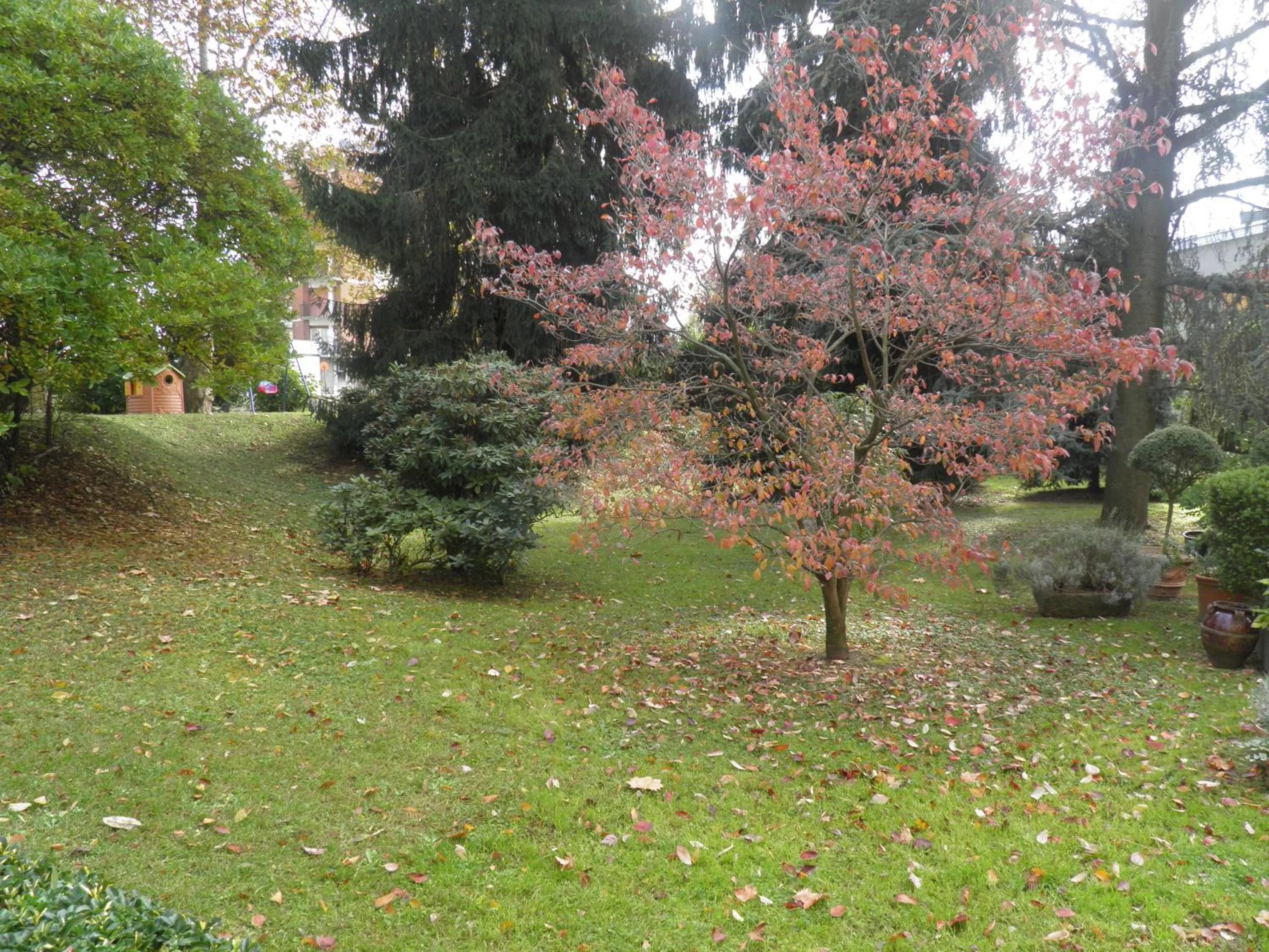 Autumn in Hotel Ramoverde