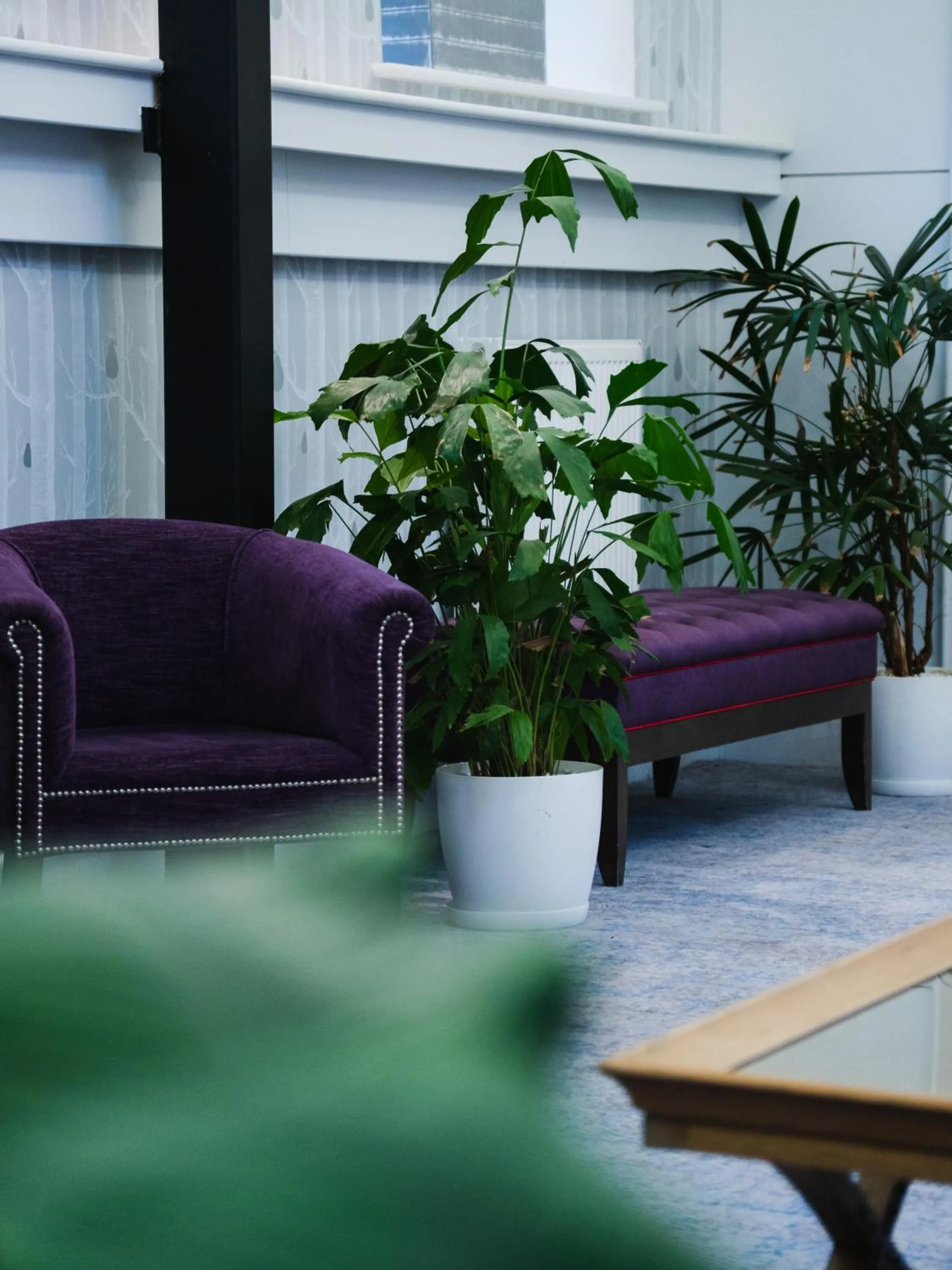 Seating area in The Wood Norton