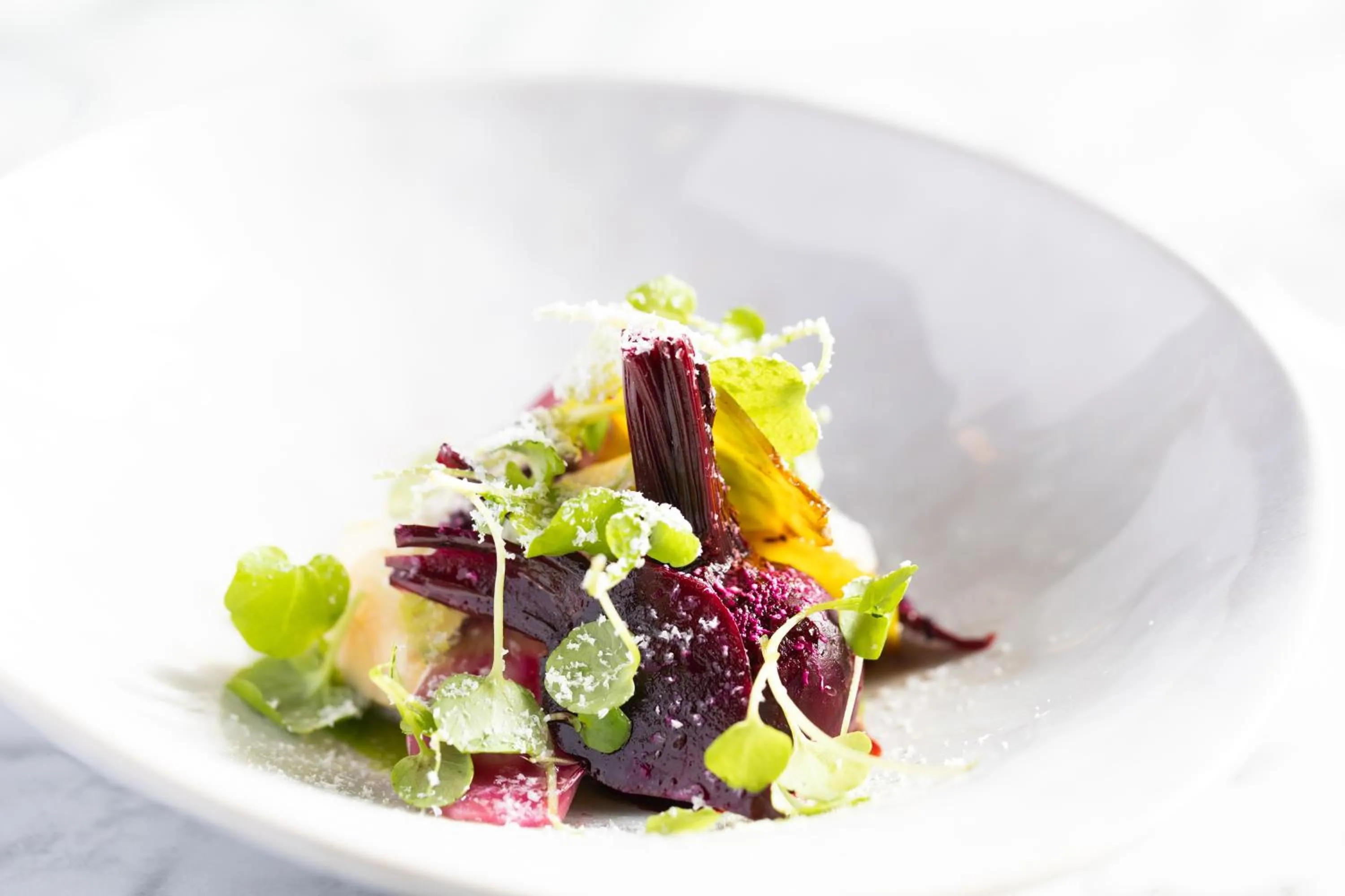 Food close-up in The Wood Norton