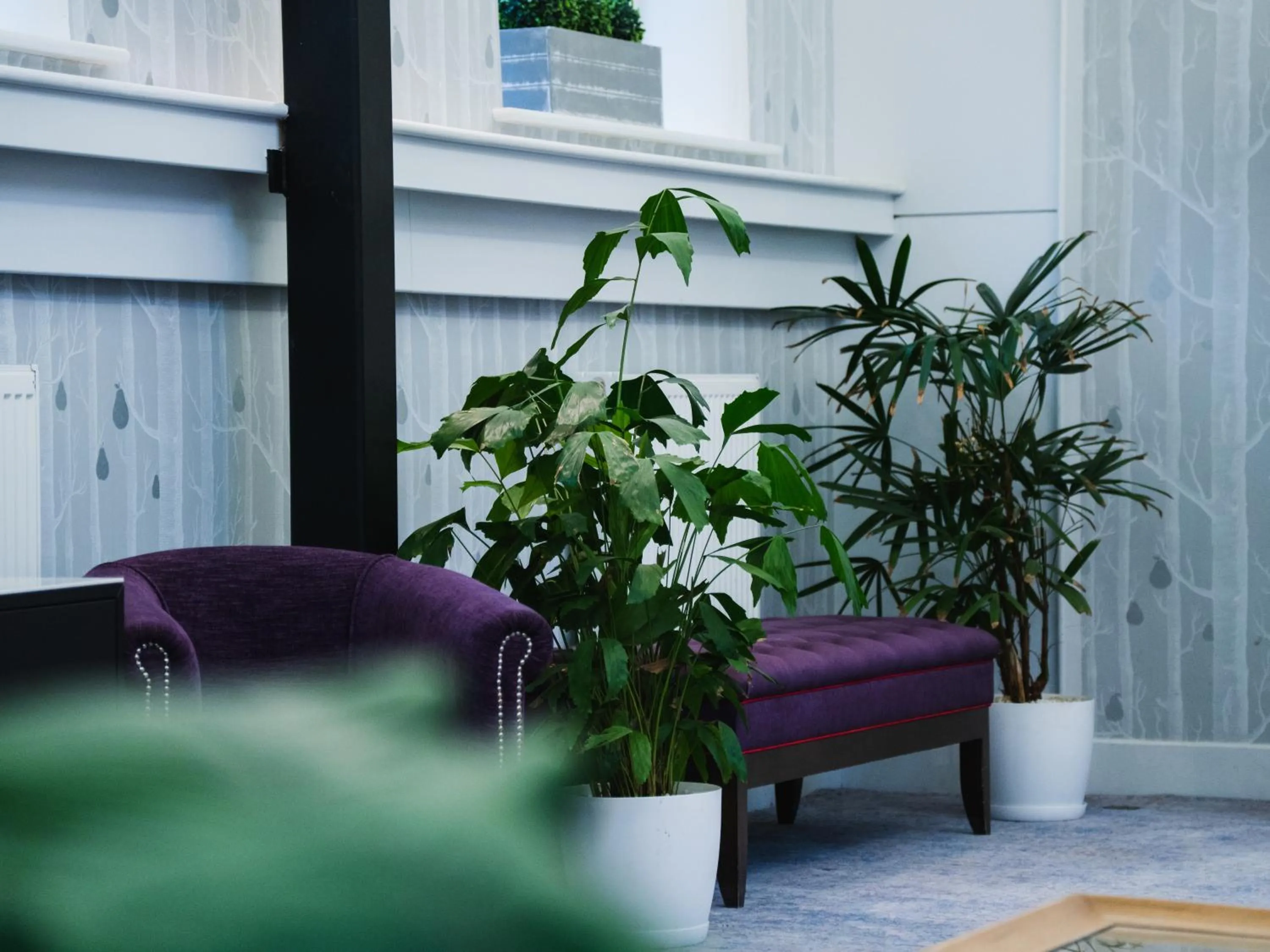 Seating area in The Wood Norton