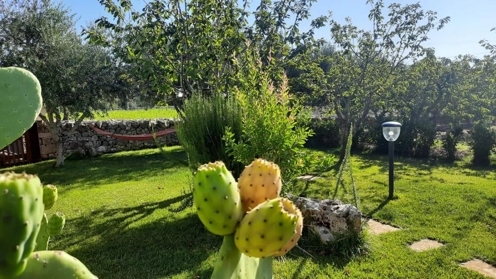 Garden in Red Rose B&B