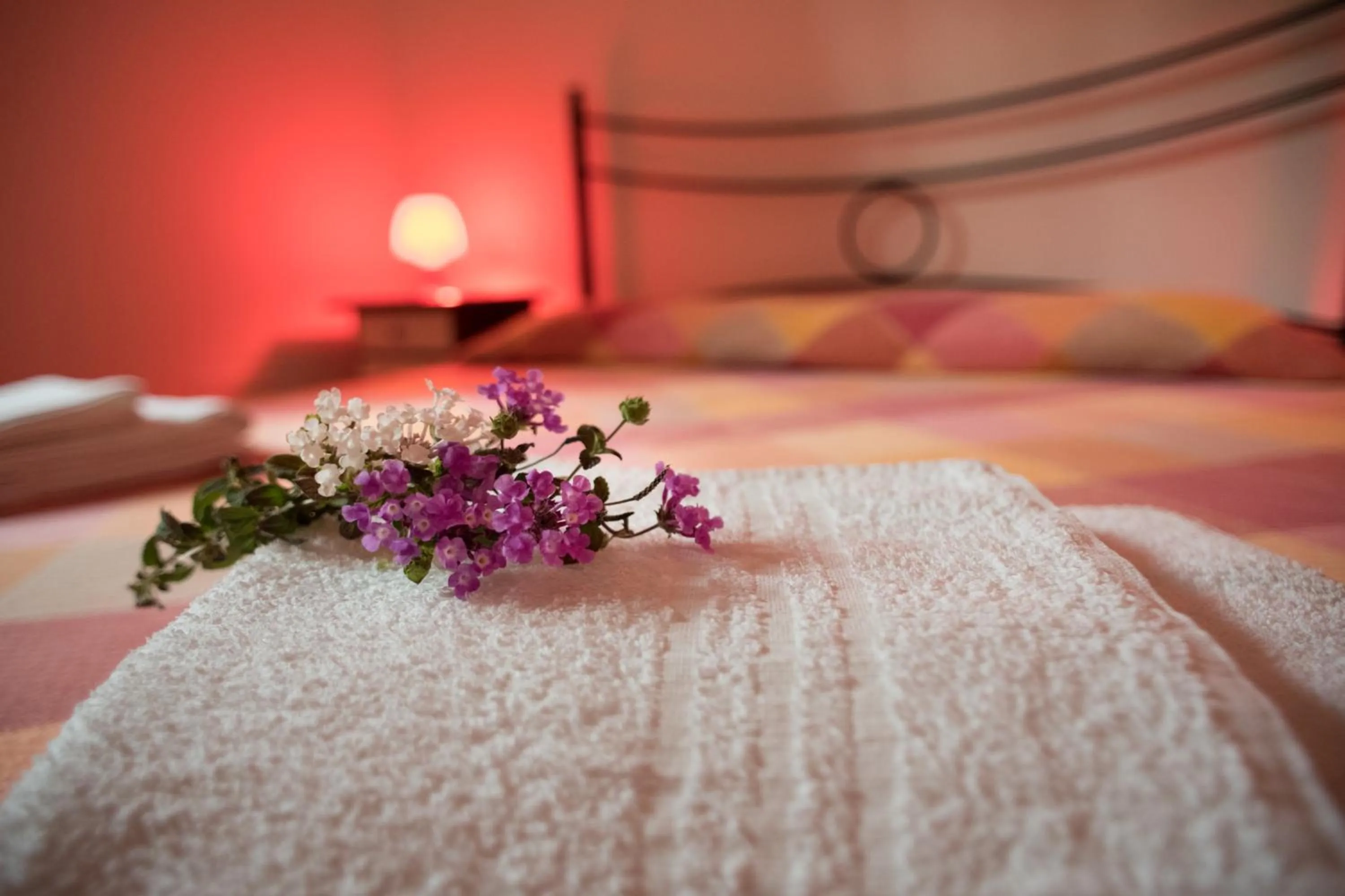 Bed in Red Rose B&B