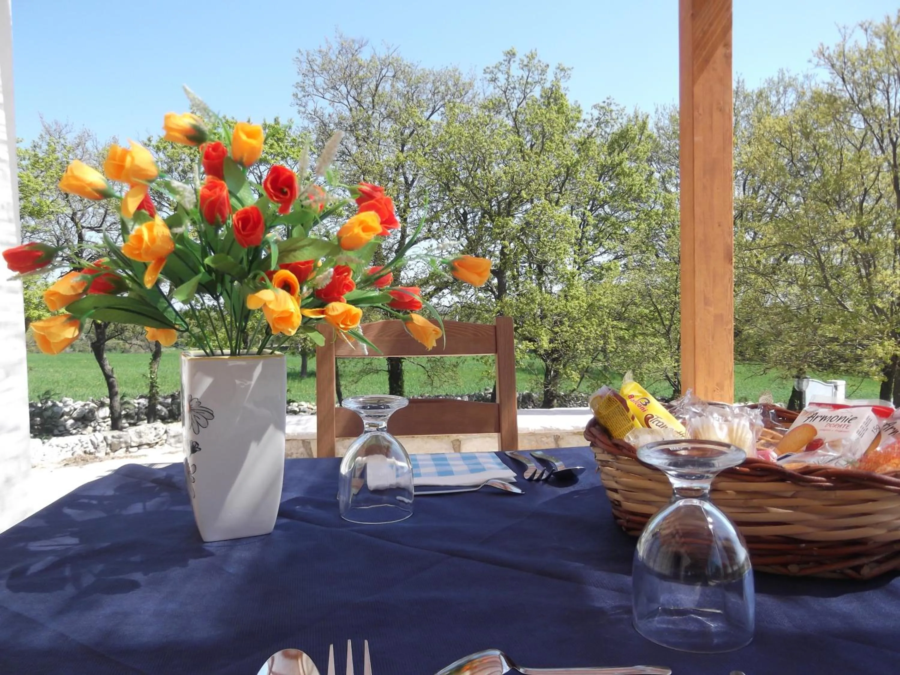 Area and facilities in Red Rose B&B