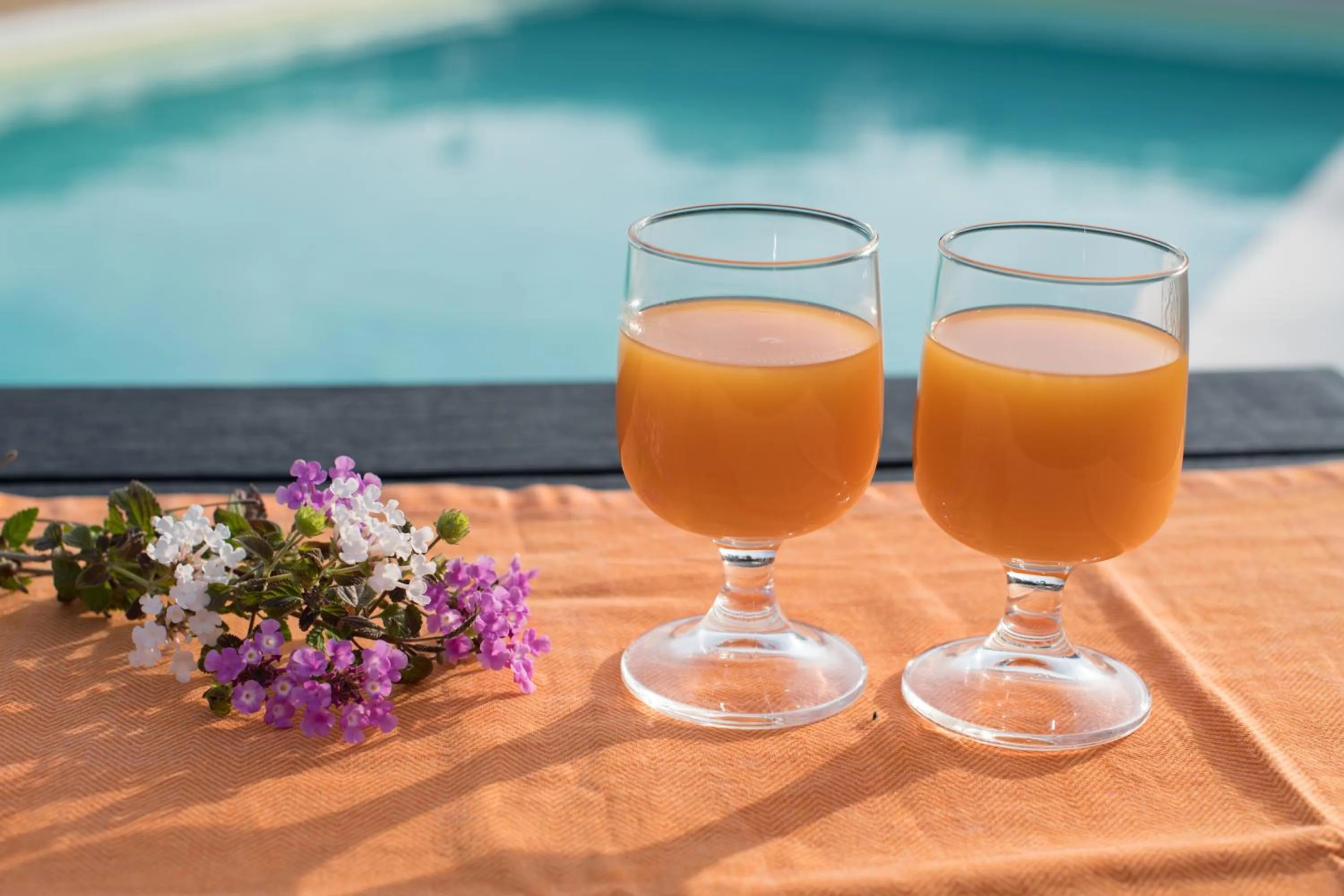 Swimming pool in Red Rose B&B