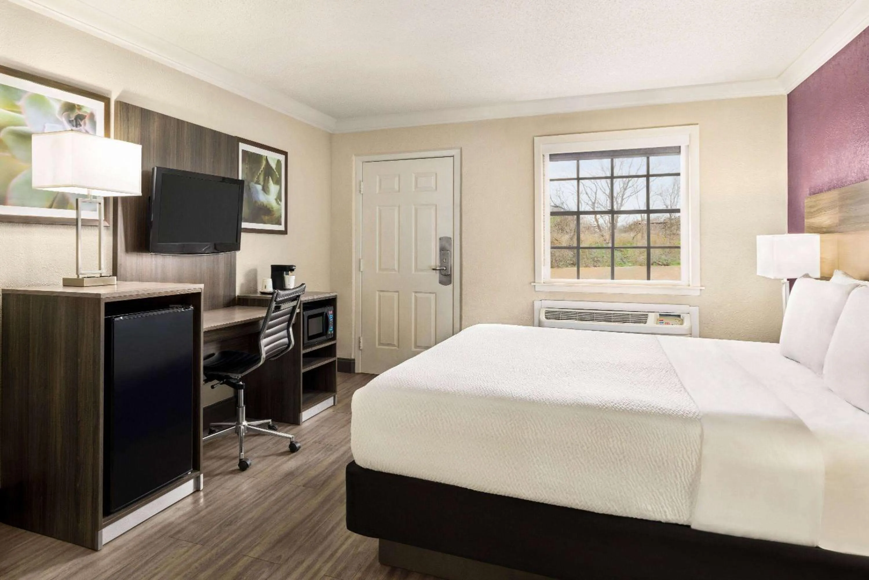 Photo of the whole room, Bed in La Quinta Inn by Wyndham San Antonio Lackland
