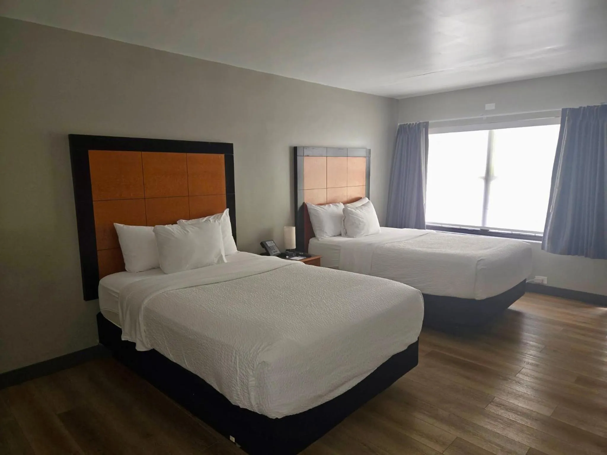 Bed in La Quinta Inn Tampa Airport Stadium Westshore