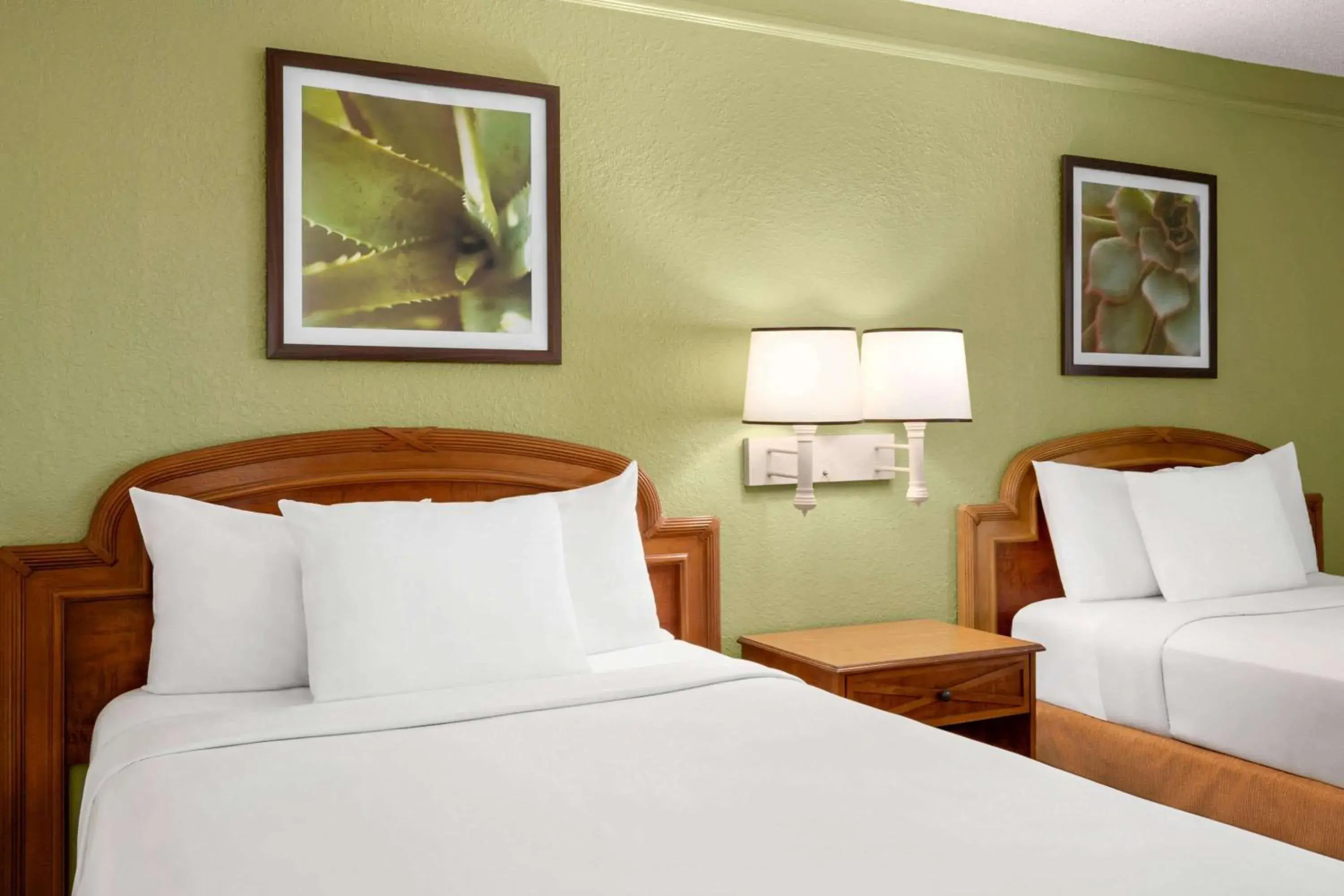 Double Room with Two Double Beds - Non-Smoking in Baymont by Wyndham Intl Speedway I-95 Daytona Beach Double Room with Two Double Beds - Non-Smoking in Baymont by Wyndham Intl Speedway I-95 Daytona Beach