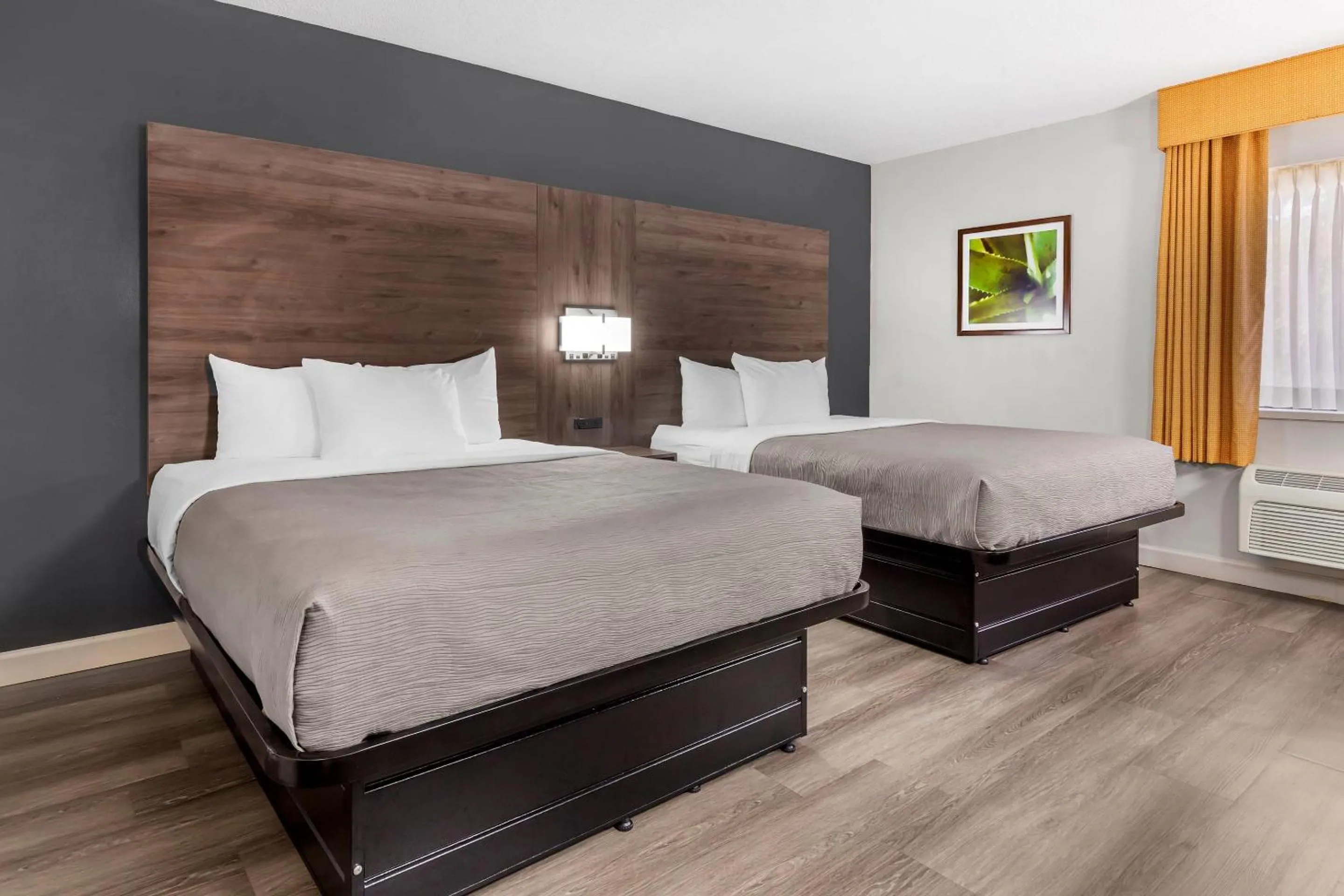 Bedroom, Bed in Quality Inn & Suites Raleigh Durham Airport