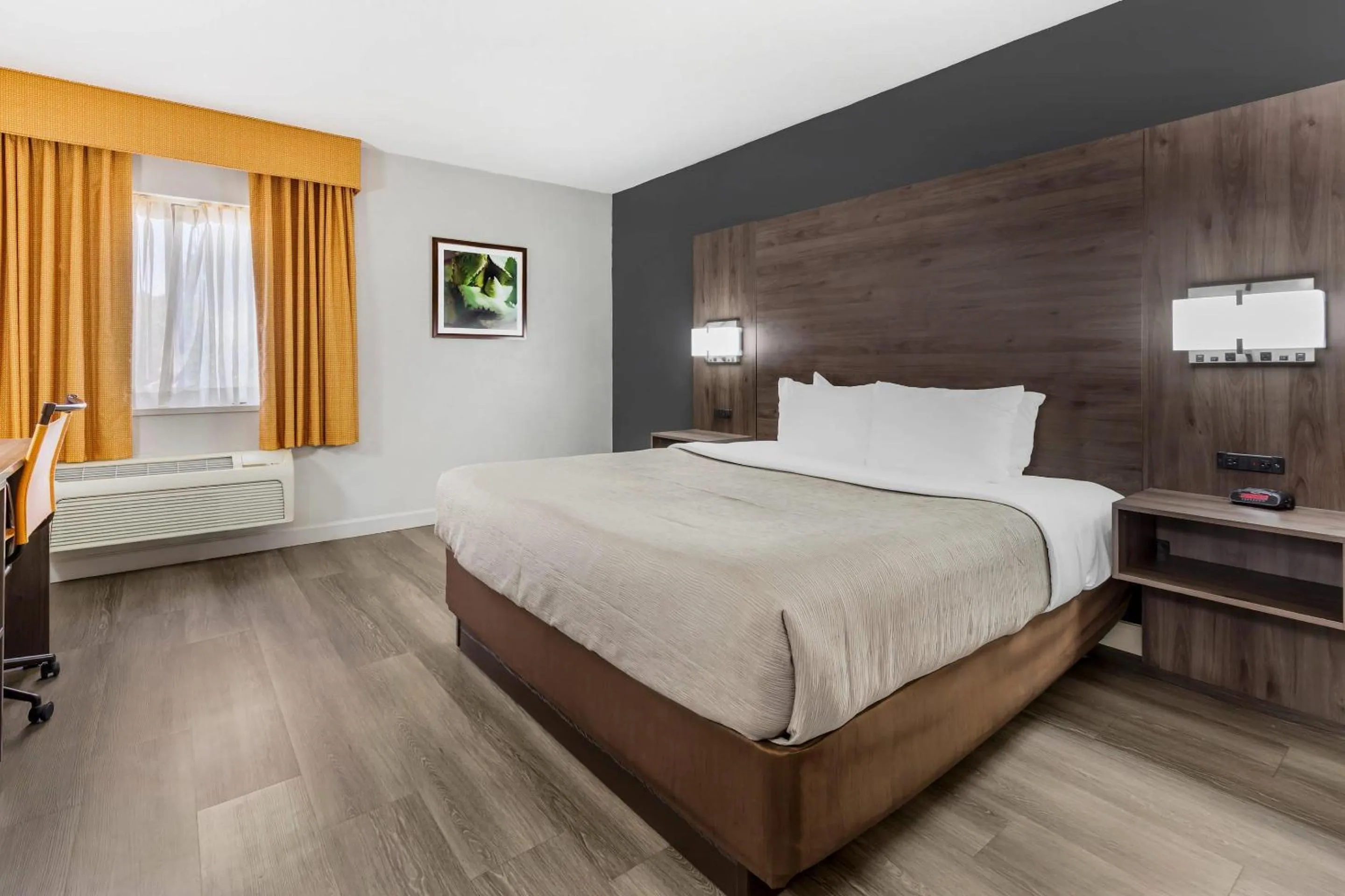 Bedroom, Bed in Quality Inn & Suites Raleigh Durham Airport