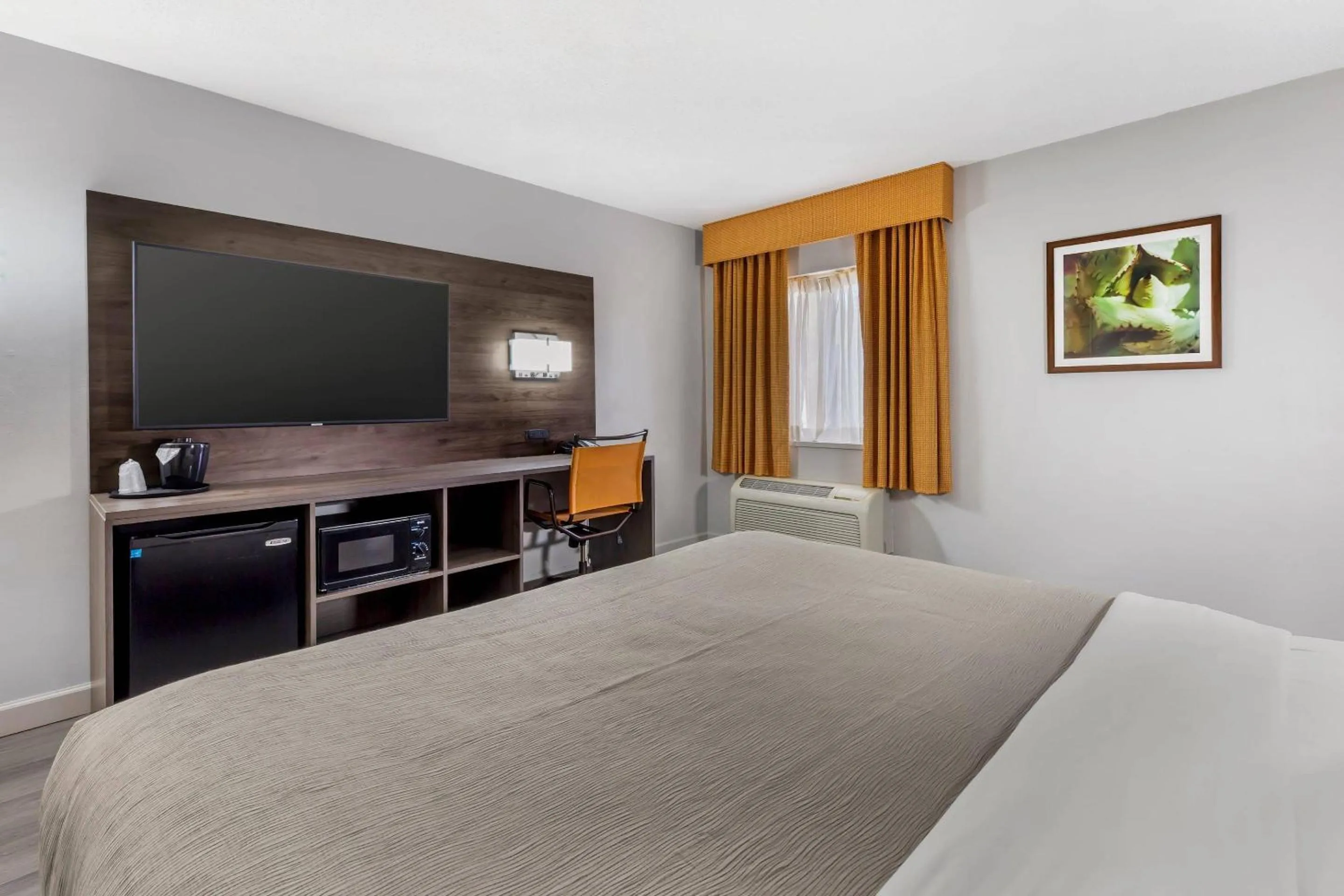 Bedroom, Bed in Quality Inn & Suites Raleigh Durham Airport