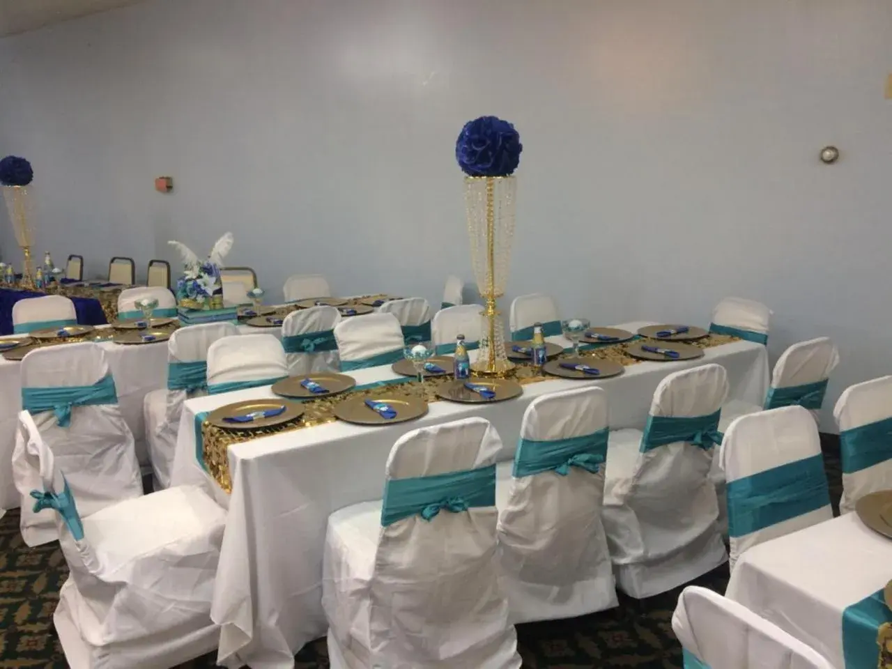 Banquet/Function facilities, Banquet Facilities in Budget Inn & Suites - Talladega