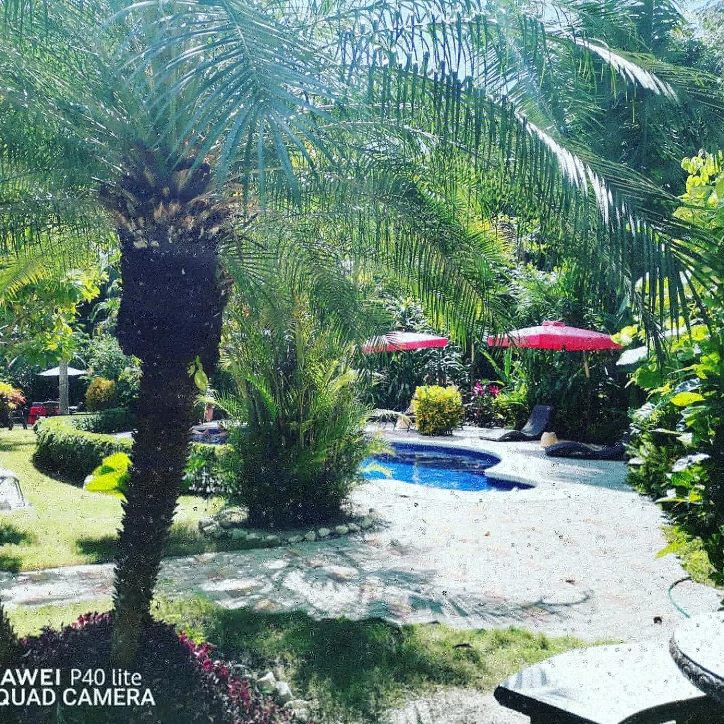 Hotel Belvedere Playa Samara Costa Rica