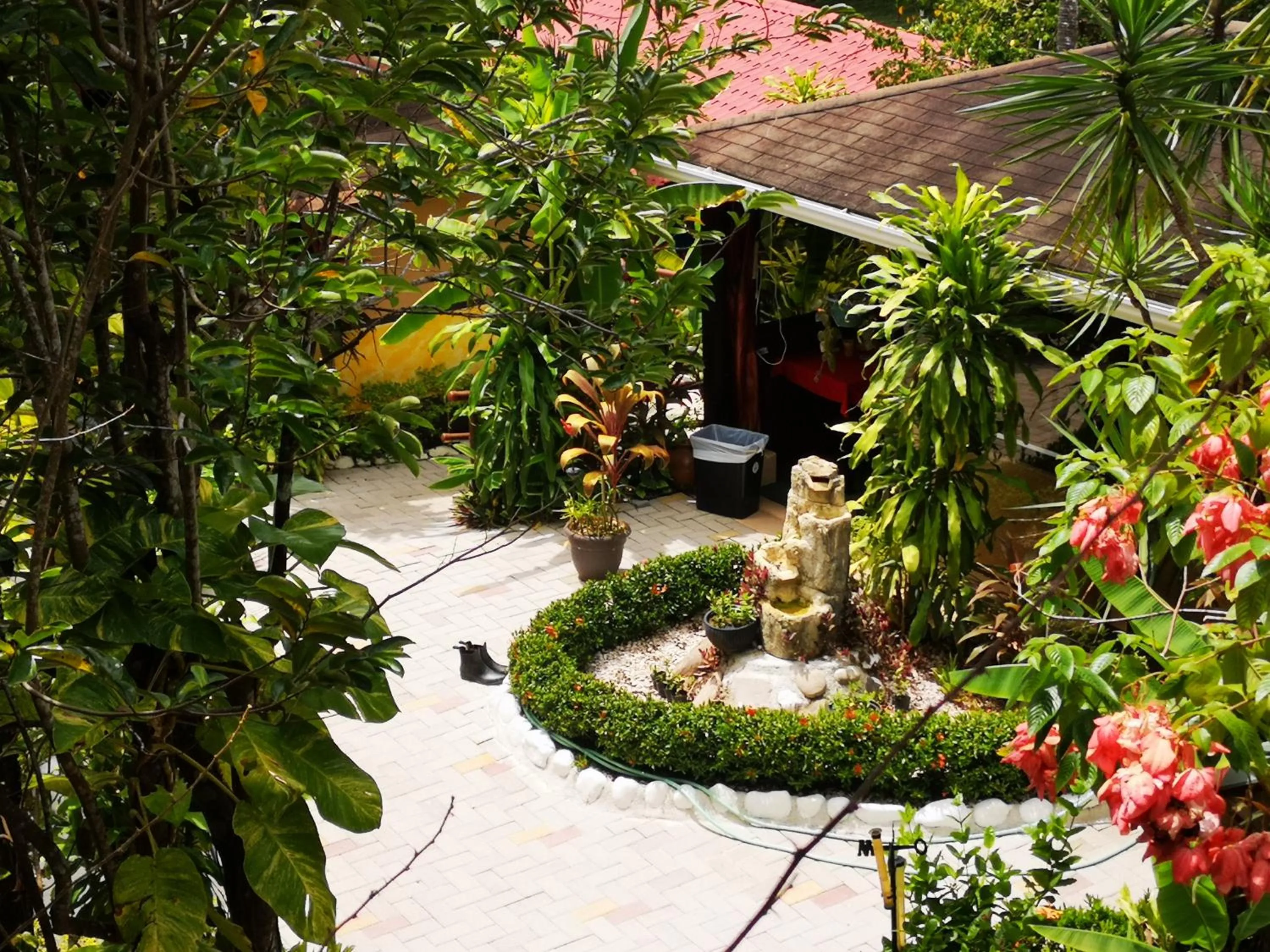 Hotel Belvedere Playa Samara Costa Rica