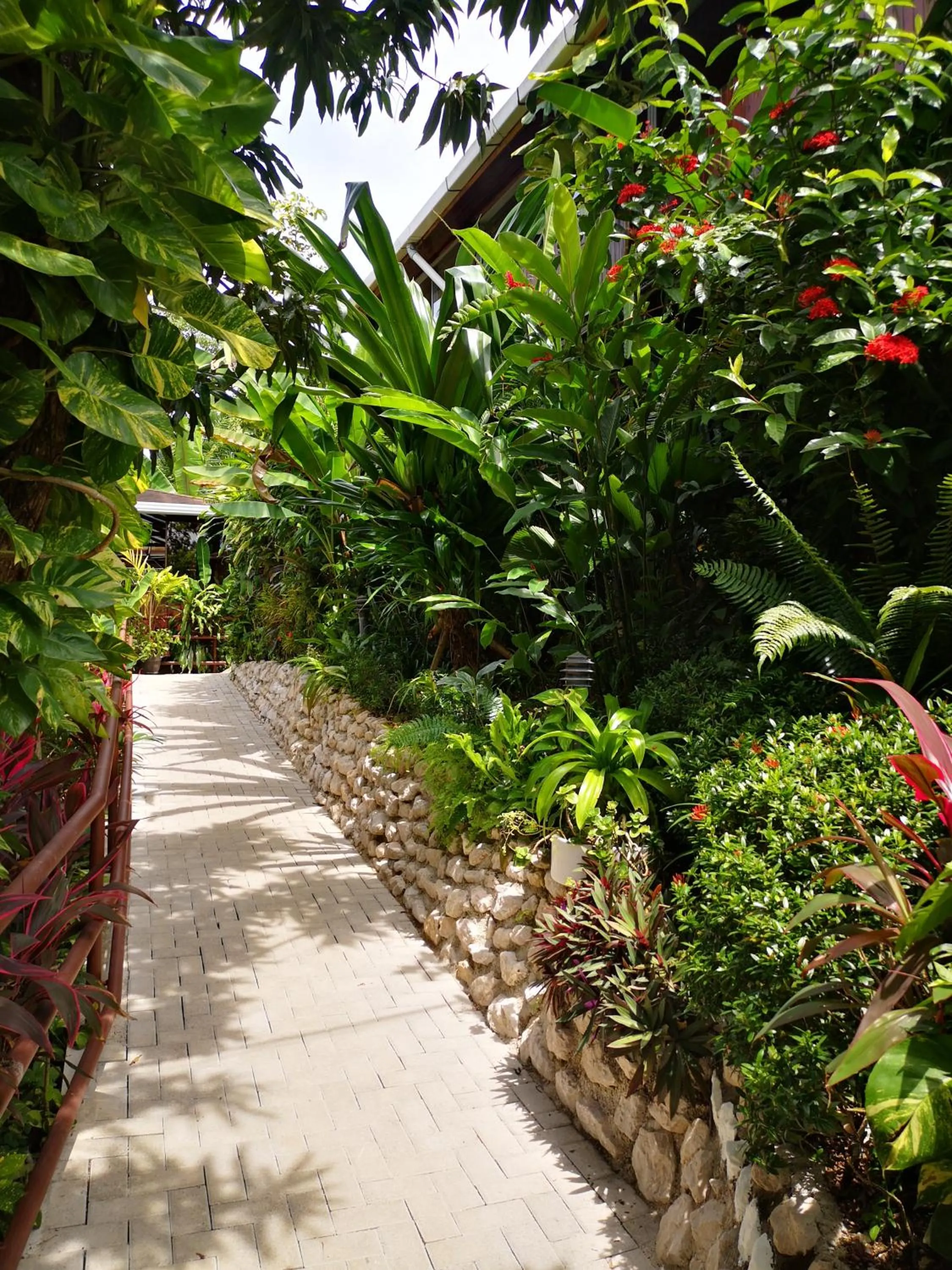 Hotel Belvedere Playa Samara Costa Rica