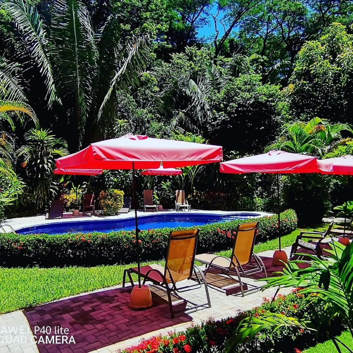 Hotel Belvedere Playa Samara Costa Rica