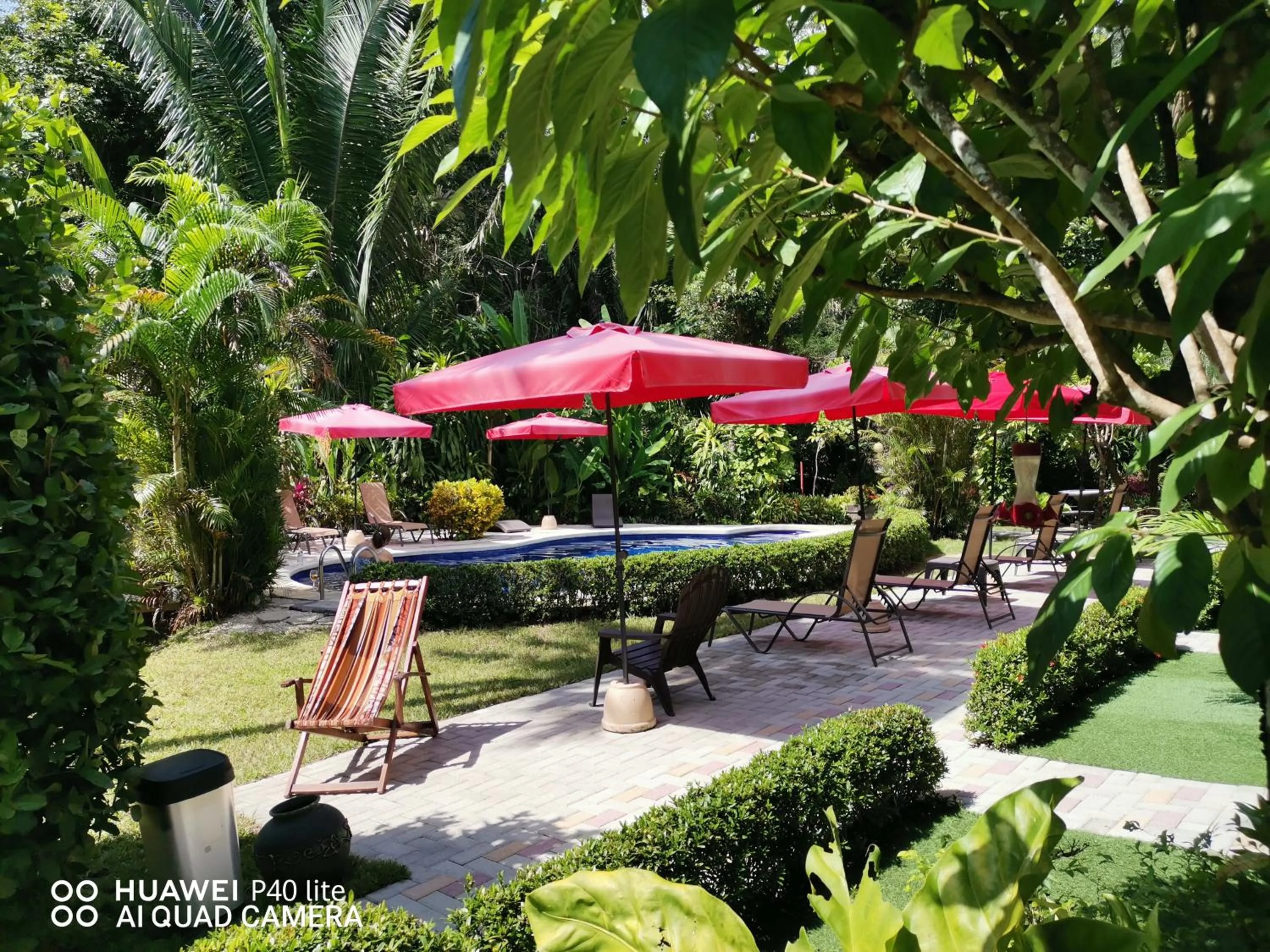 Hotel Belvedere Playa Samara Costa Rica