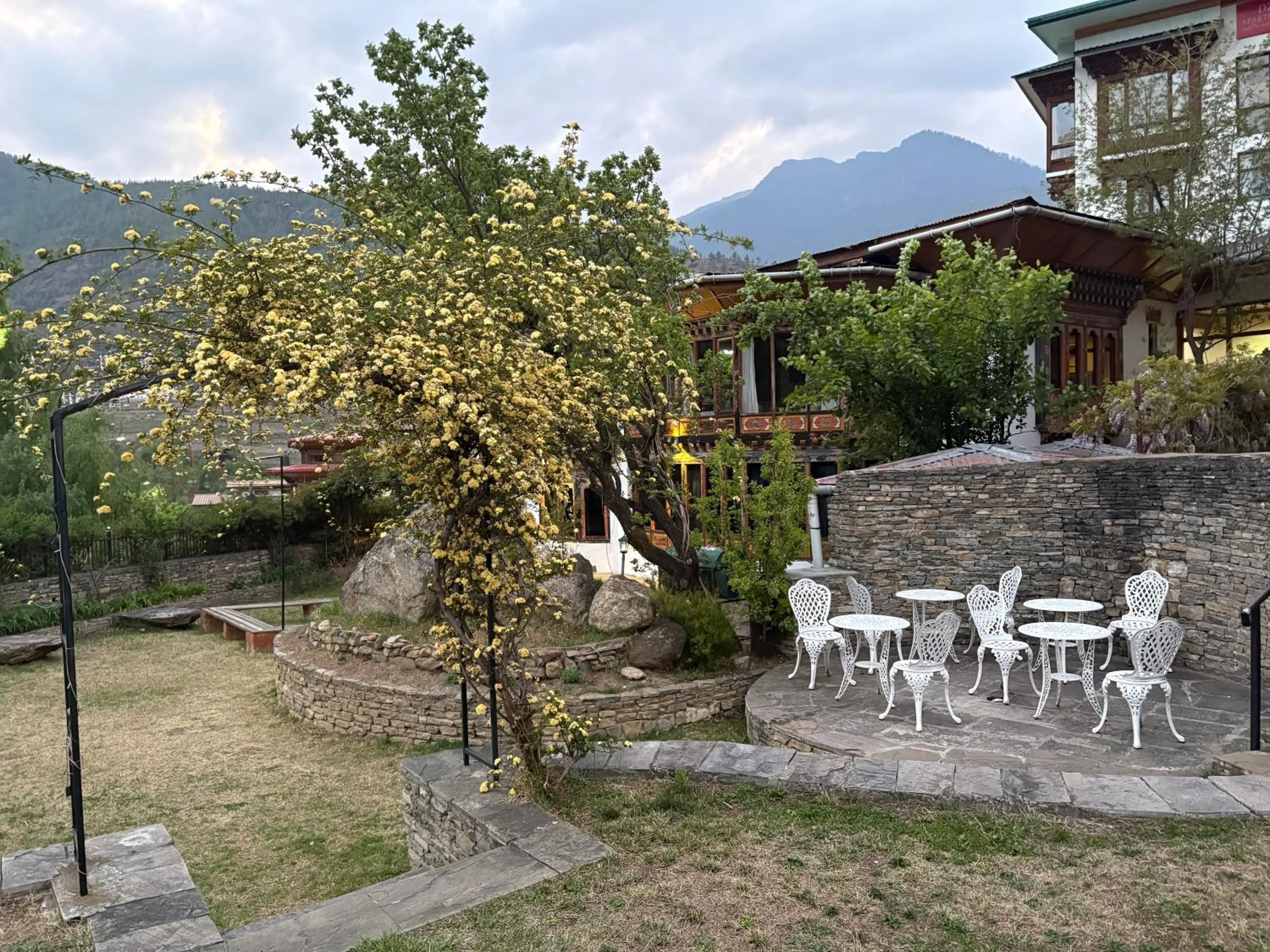 Garden view in Kisa Villa