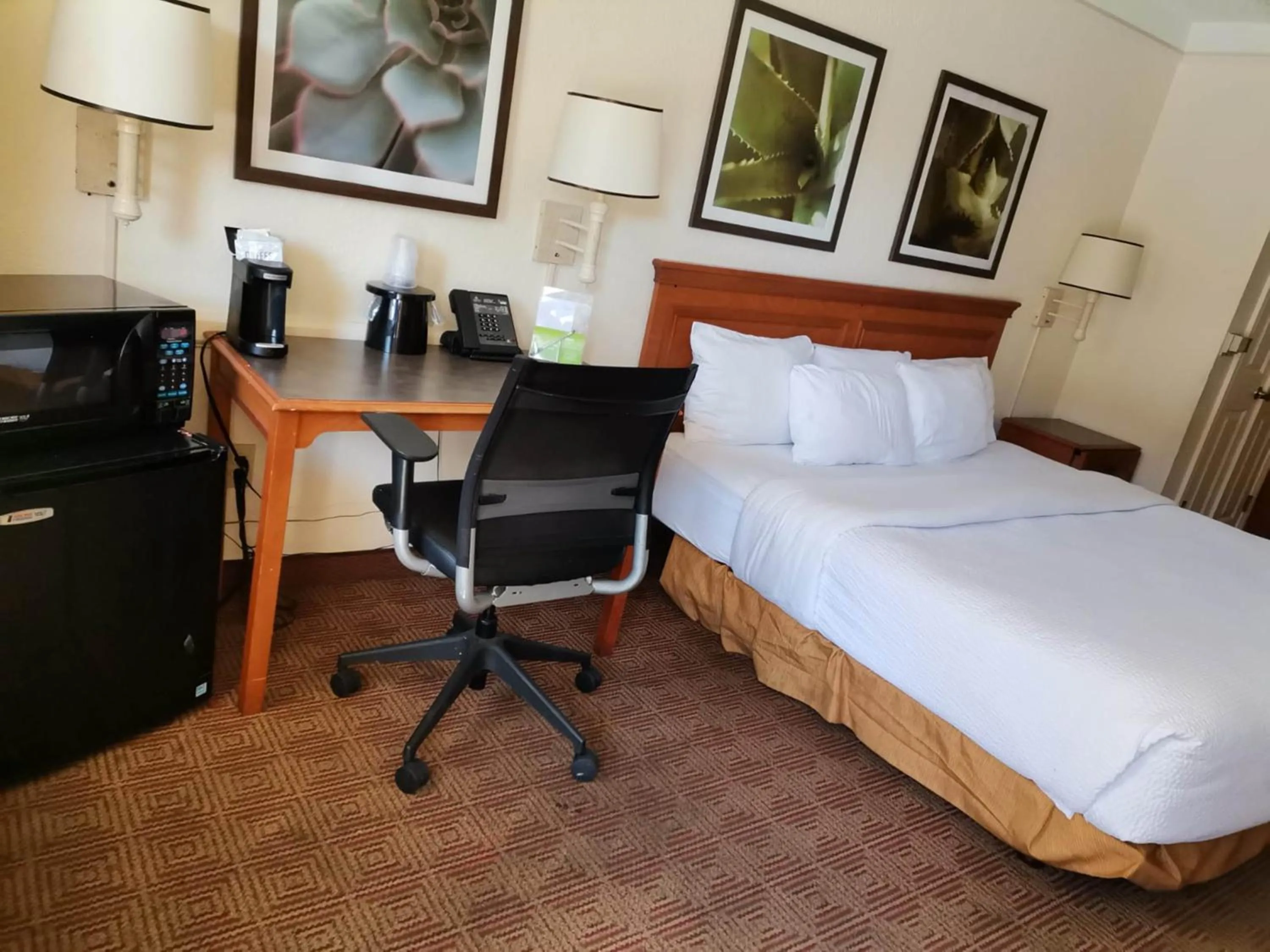 Photo of the whole room in Super 8 by Wyndham San Antonio Near SeaWorld Ingram Park