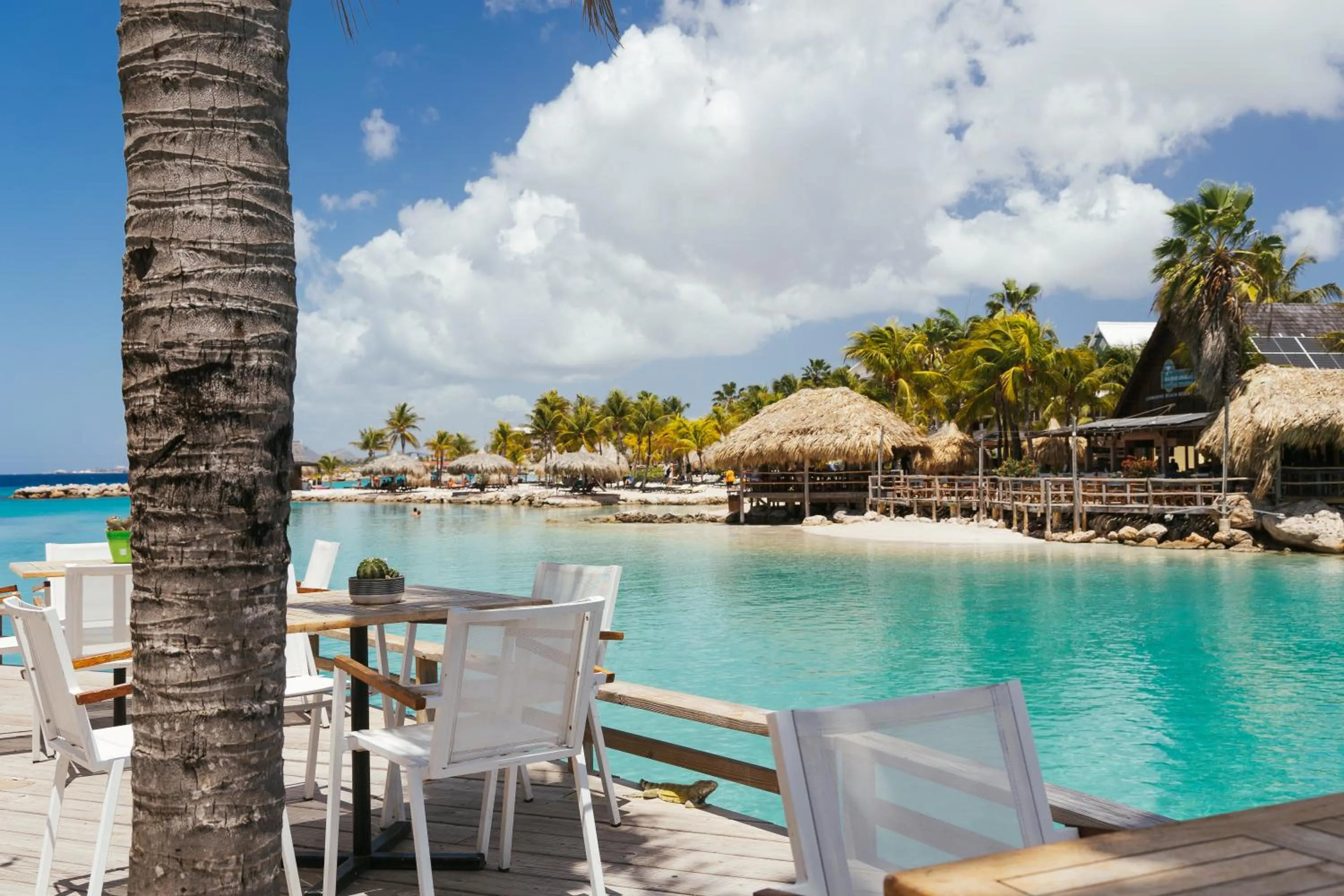 Day in The Royal Sea Aquarium Resort