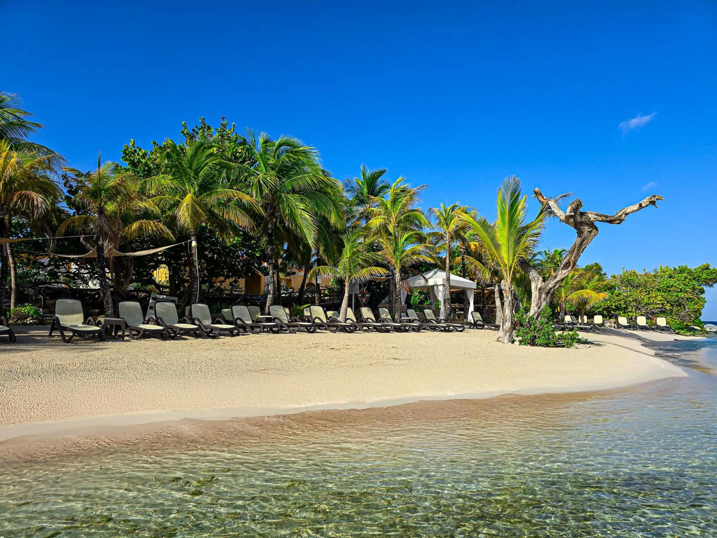 Beach in The Royal Sea Aquarium Resort