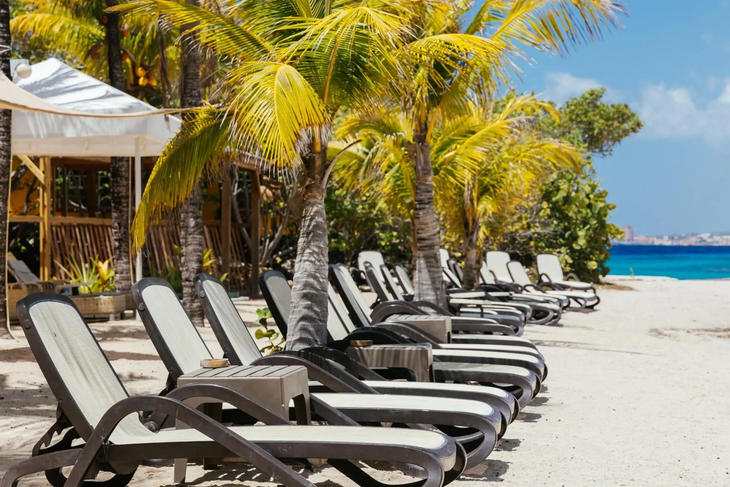 sunbed in The Royal Sea Aquarium Resort sunbed in The Royal Sea Aquarium Resort