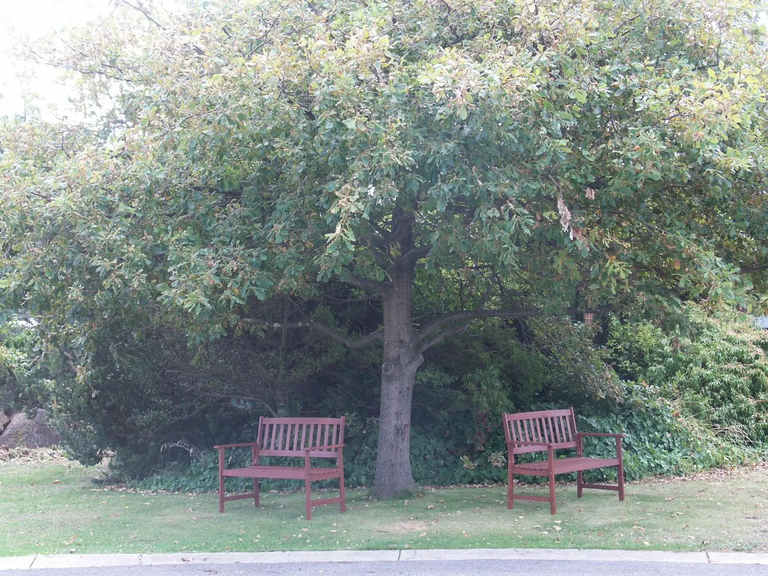Facade/entrance in Melaleuca Motel Facade/entrance in Melaleuca Motel