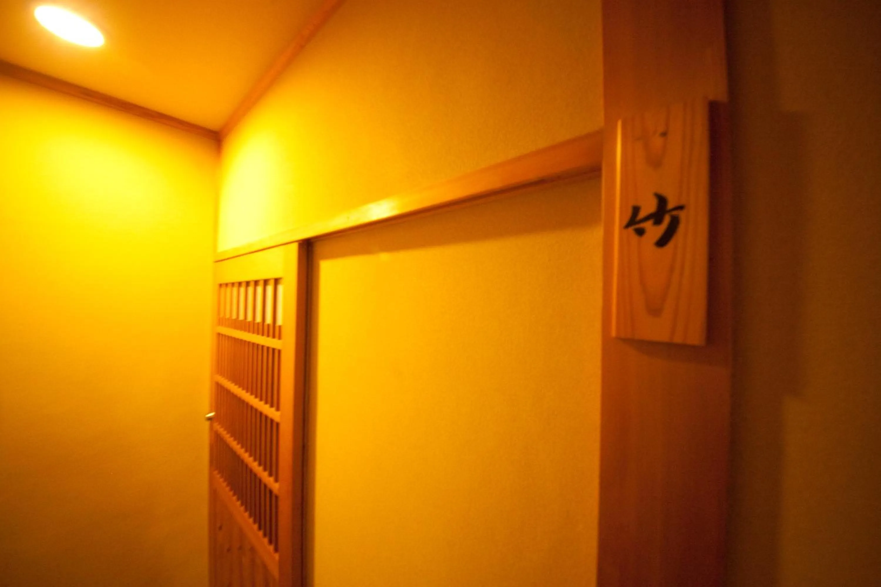 Other in Ryokan Sennari (13 years or older)