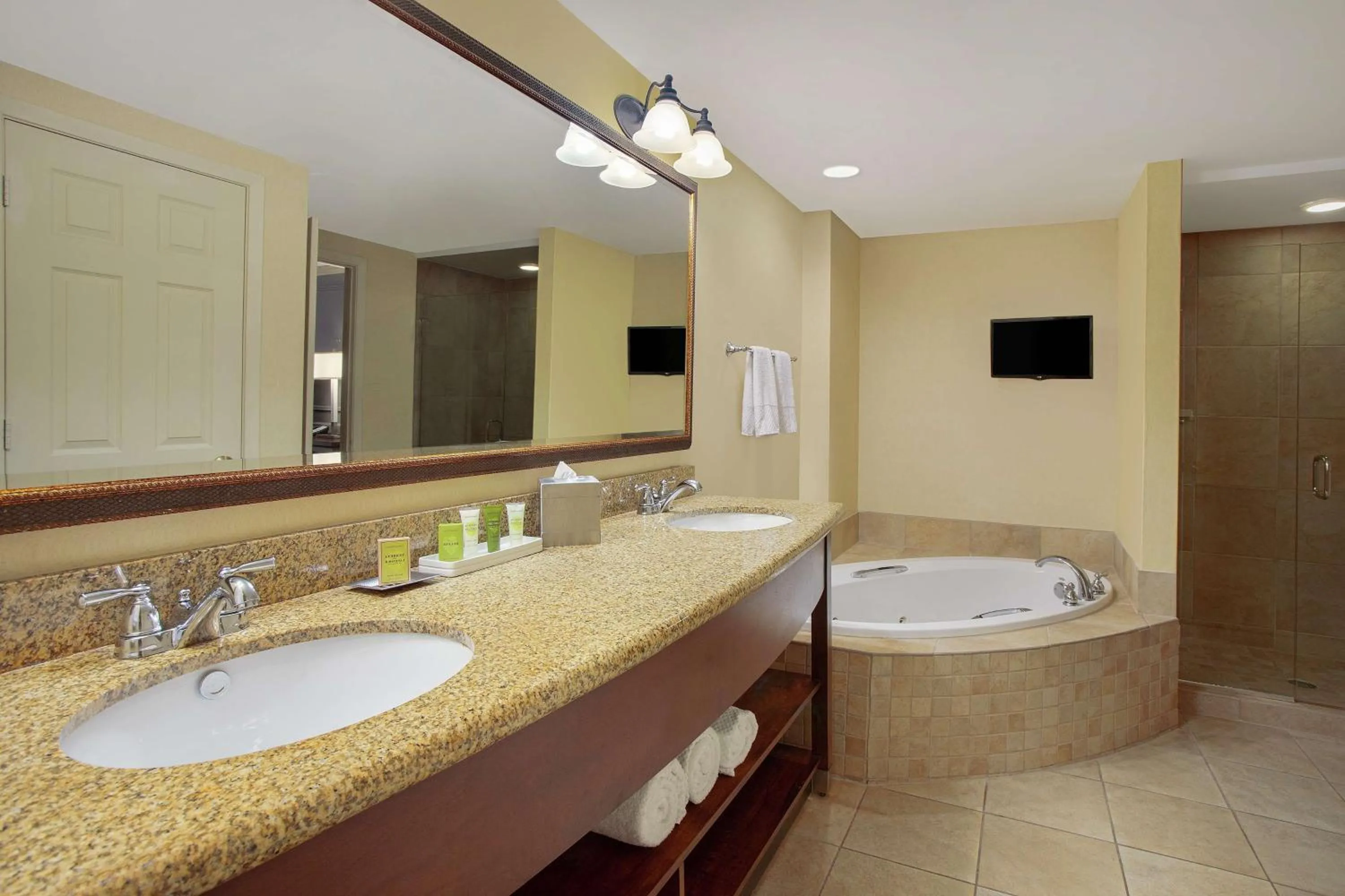 Bathroom in Hilton Jackson