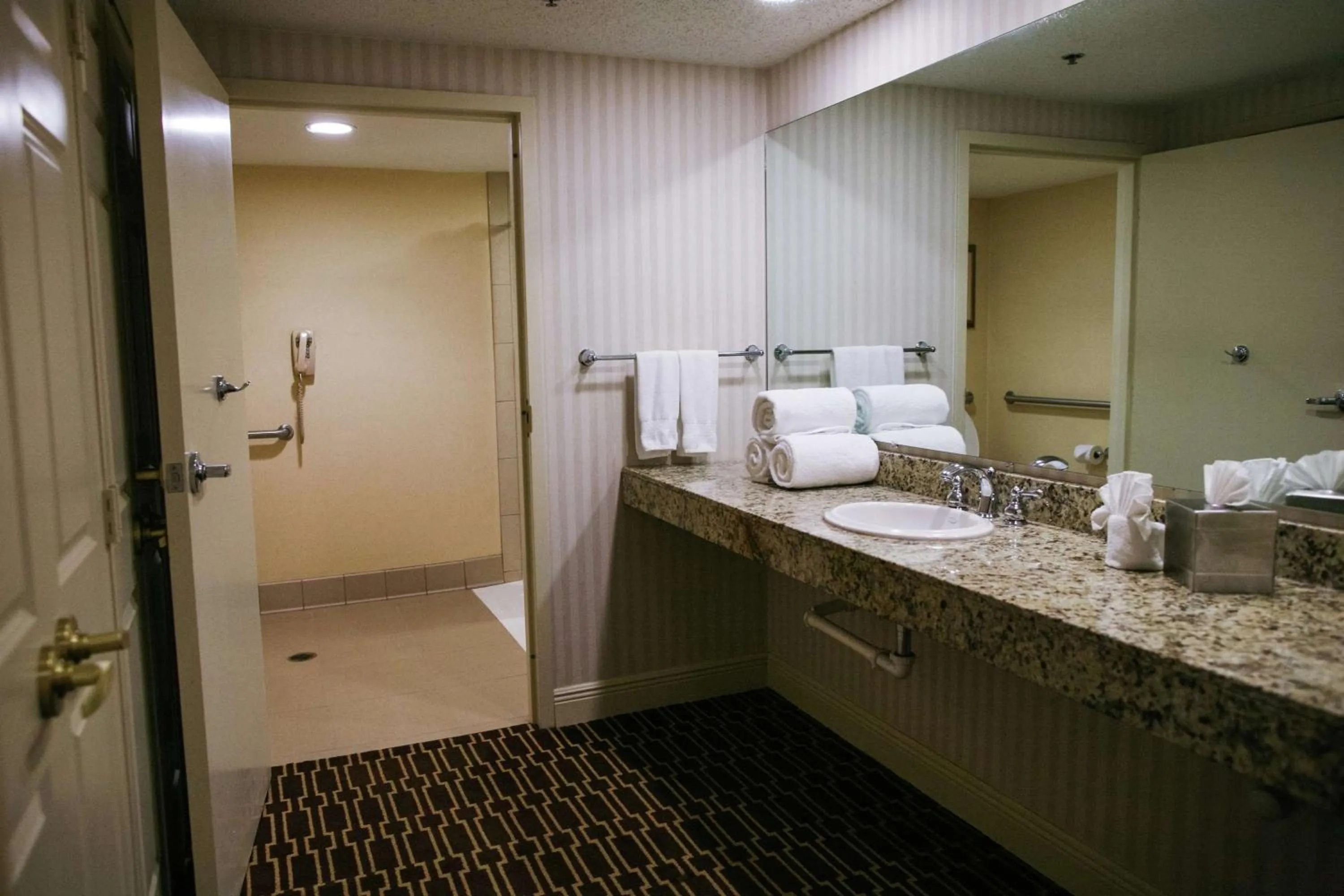 Bathroom, Bed in Hilton Jackson