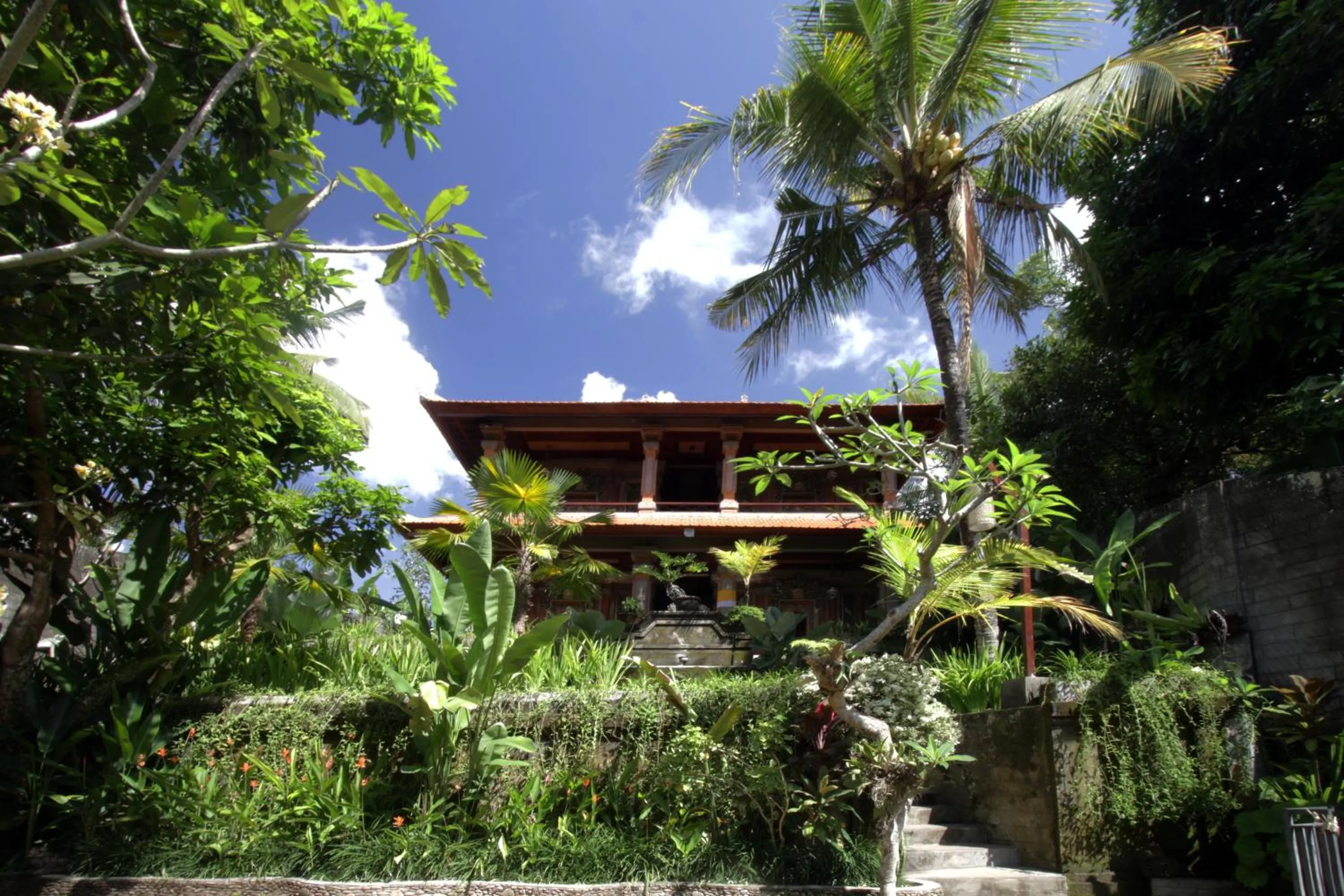 Garden in Ubud Terrace