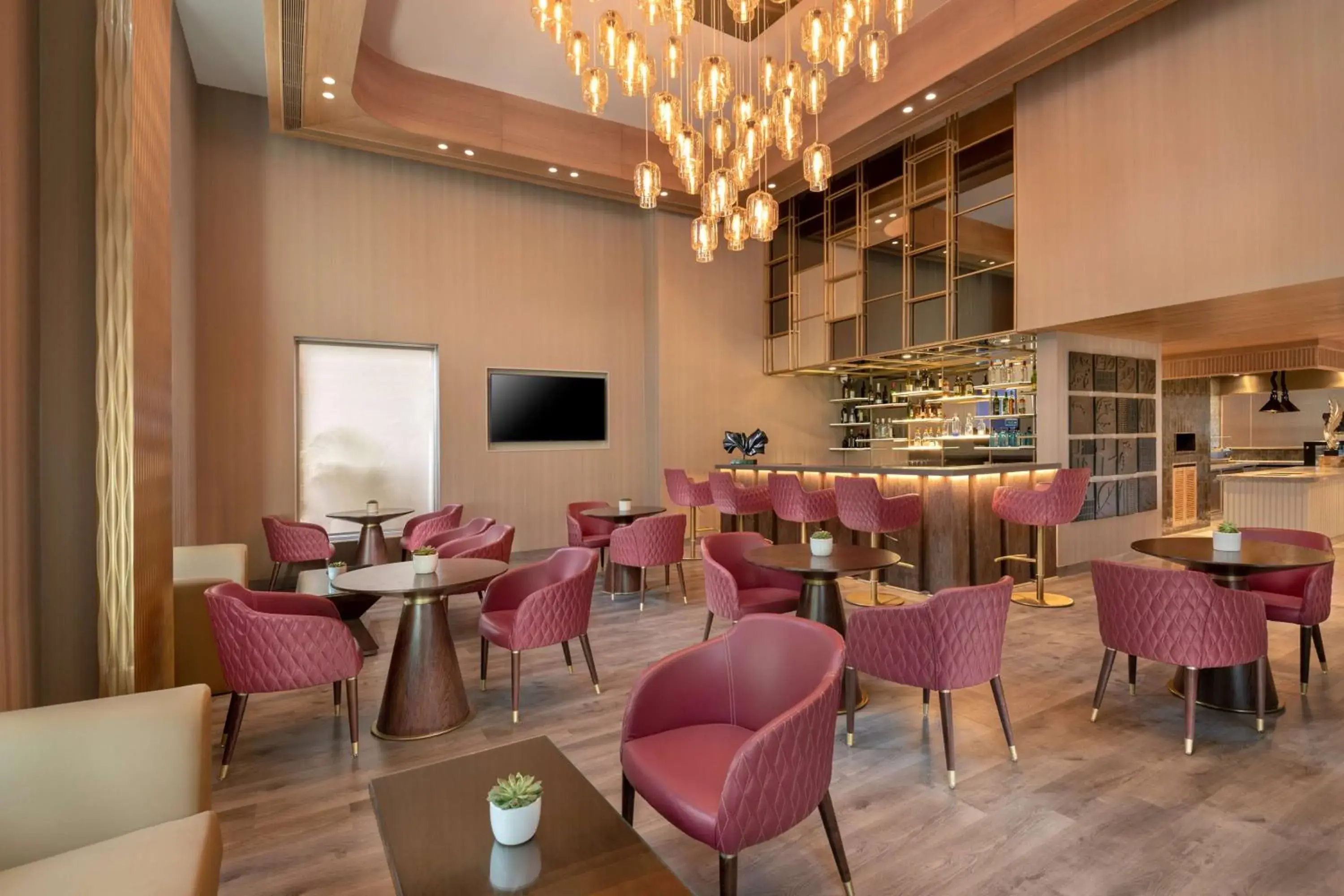 Lounge or bar, Restaurant/Places to Eat in Radisson Hotel Sector 29 Gurugram