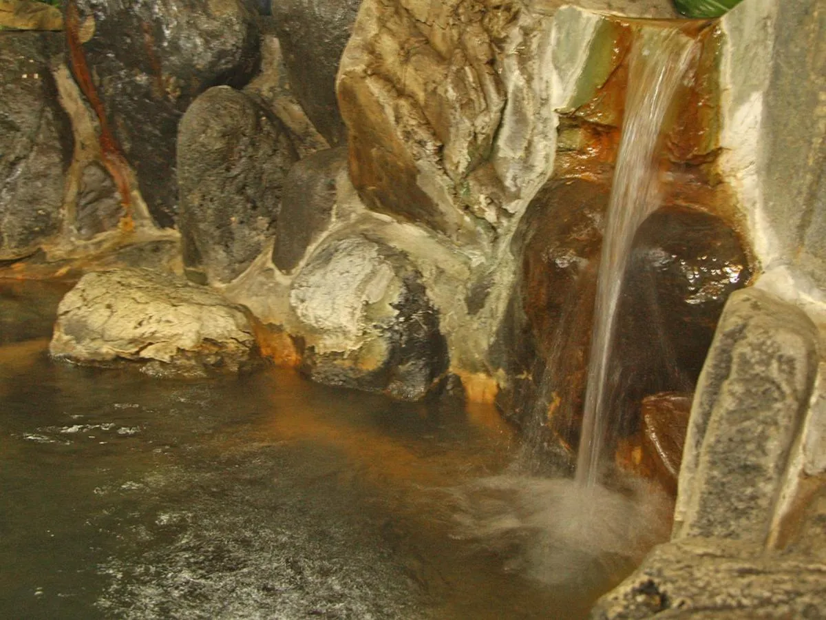 Hot Spring Bath in Suisenkaku